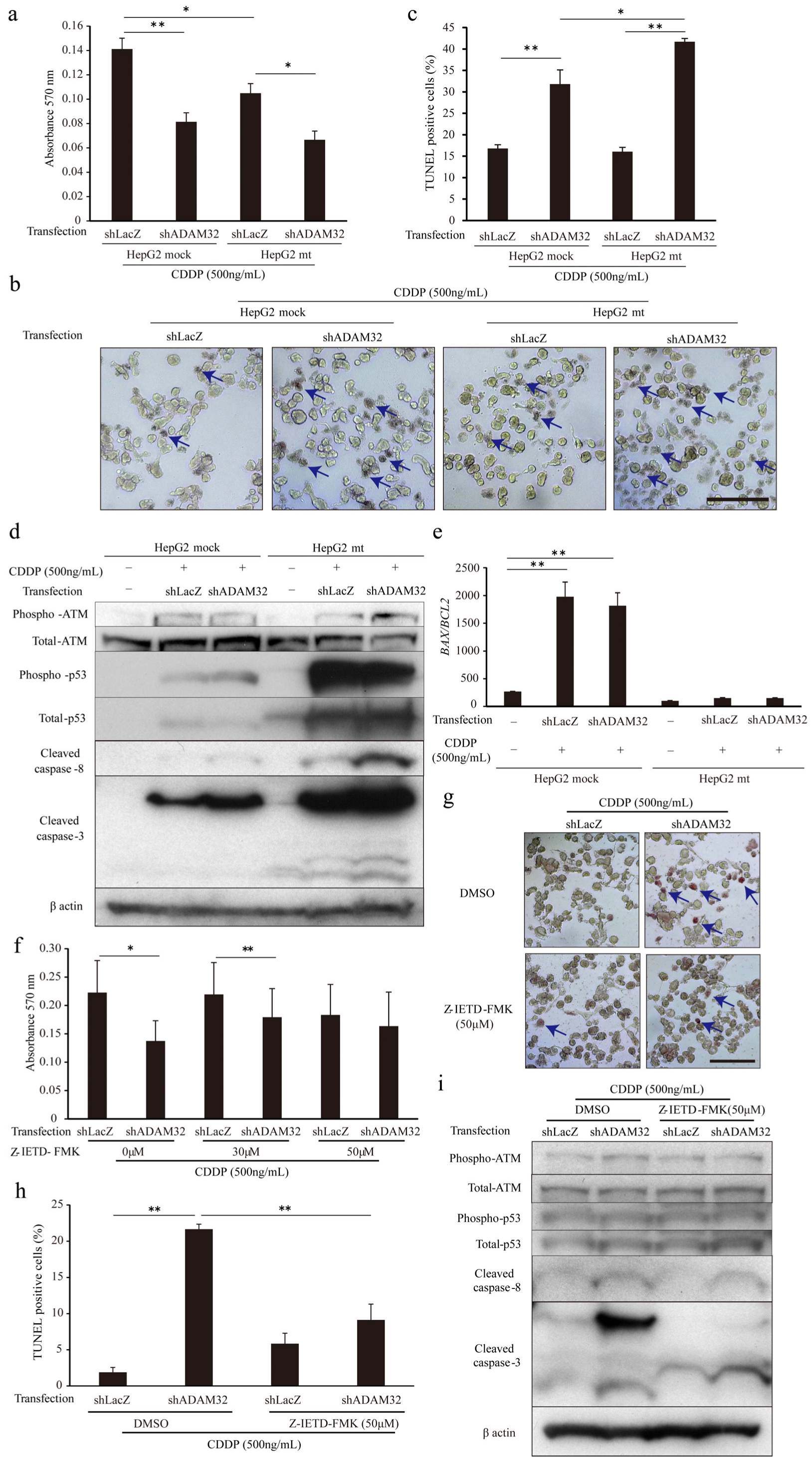 Cancers 14 04732 g006