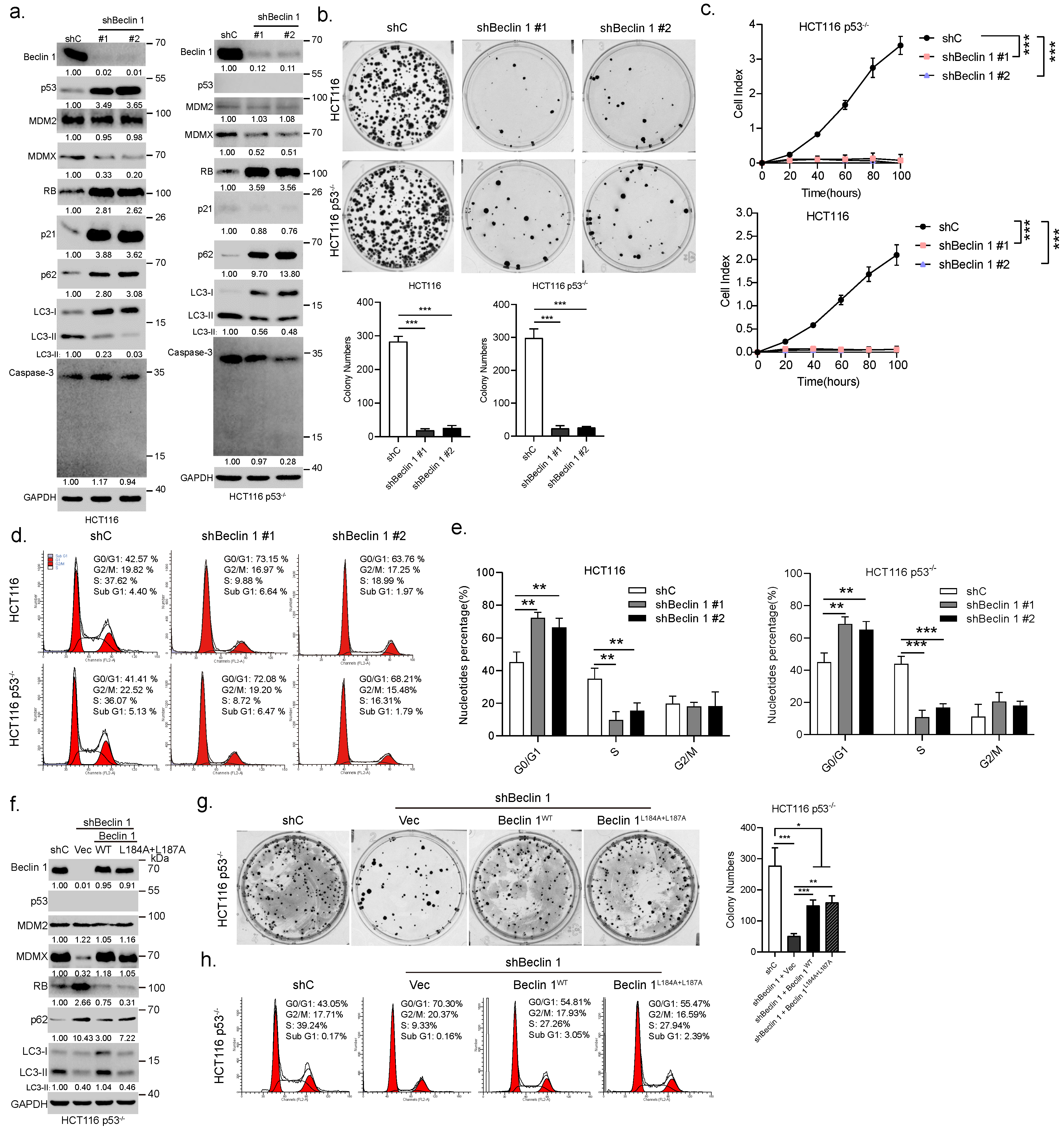 Cancers 14 04735 g002
