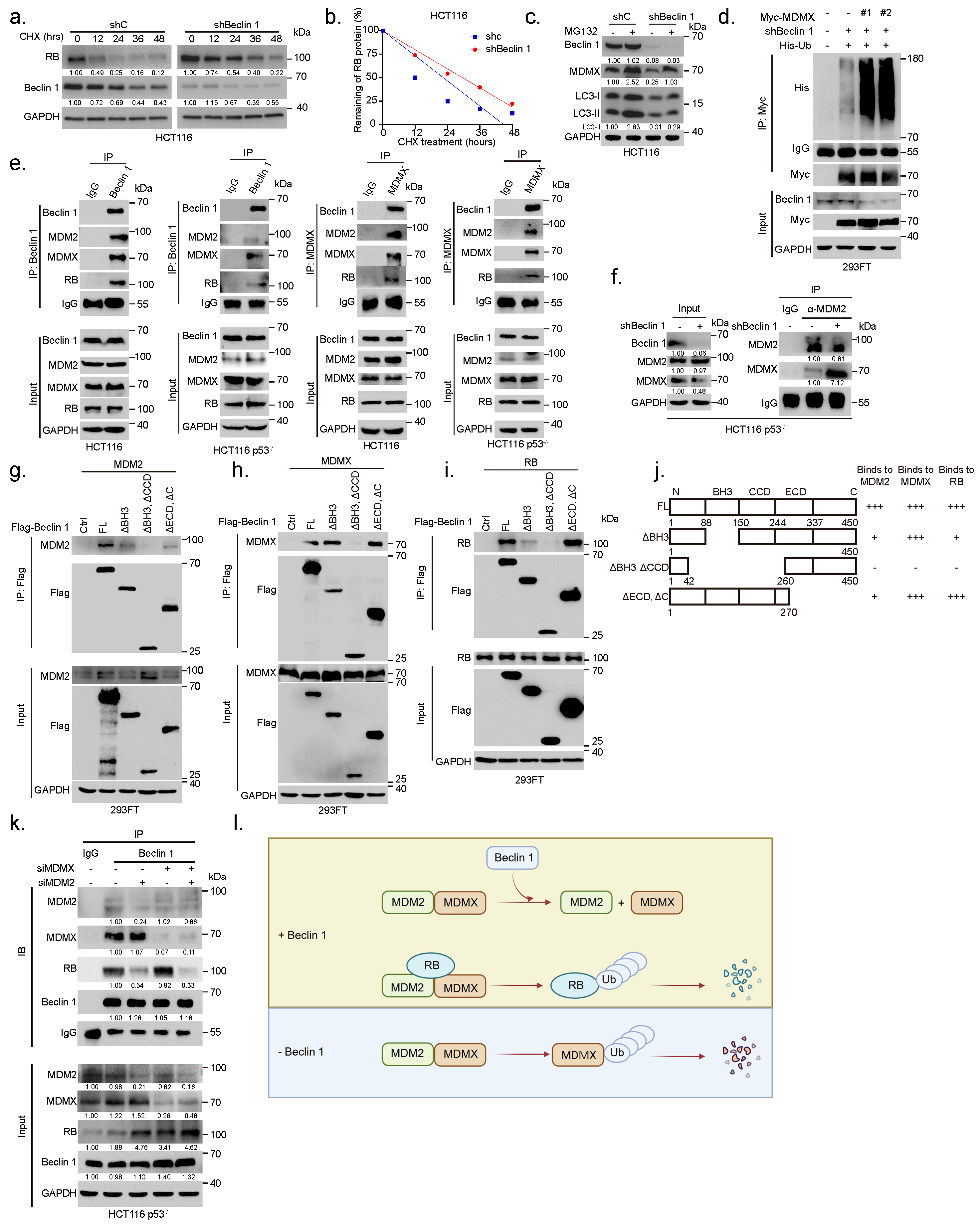 Cancers 14 04735 g004