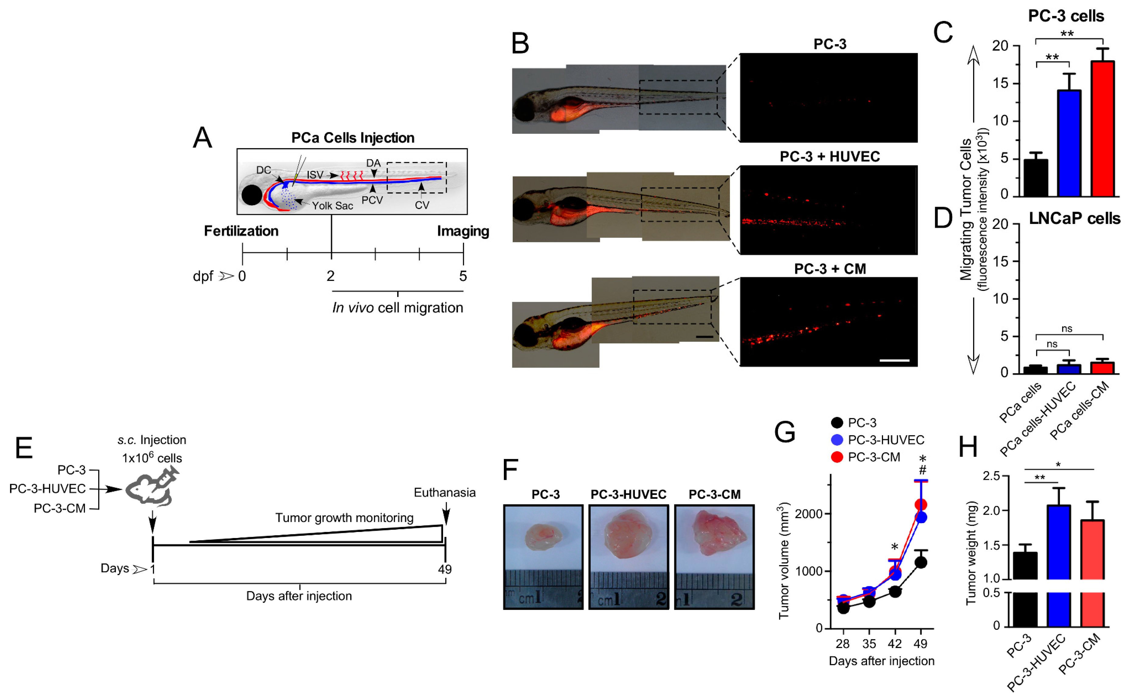 Cancers 14 04750 g002