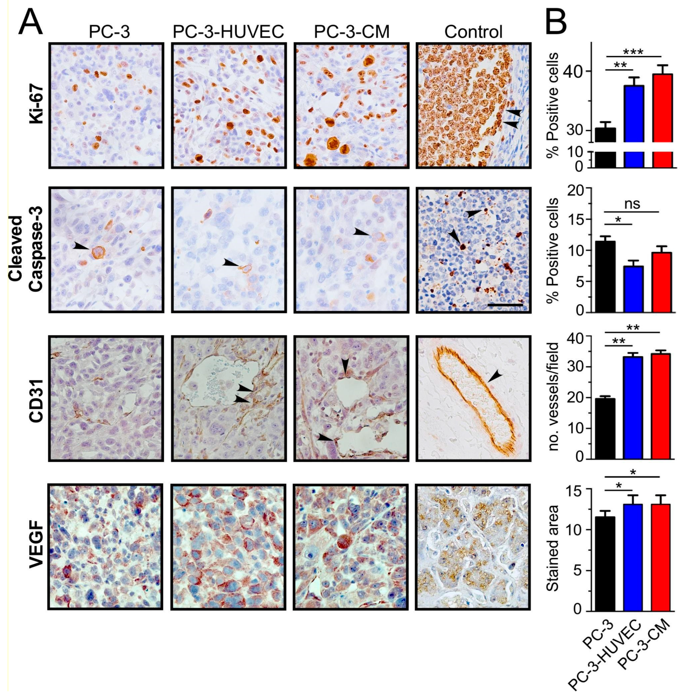 Cancers 14 04750 g003