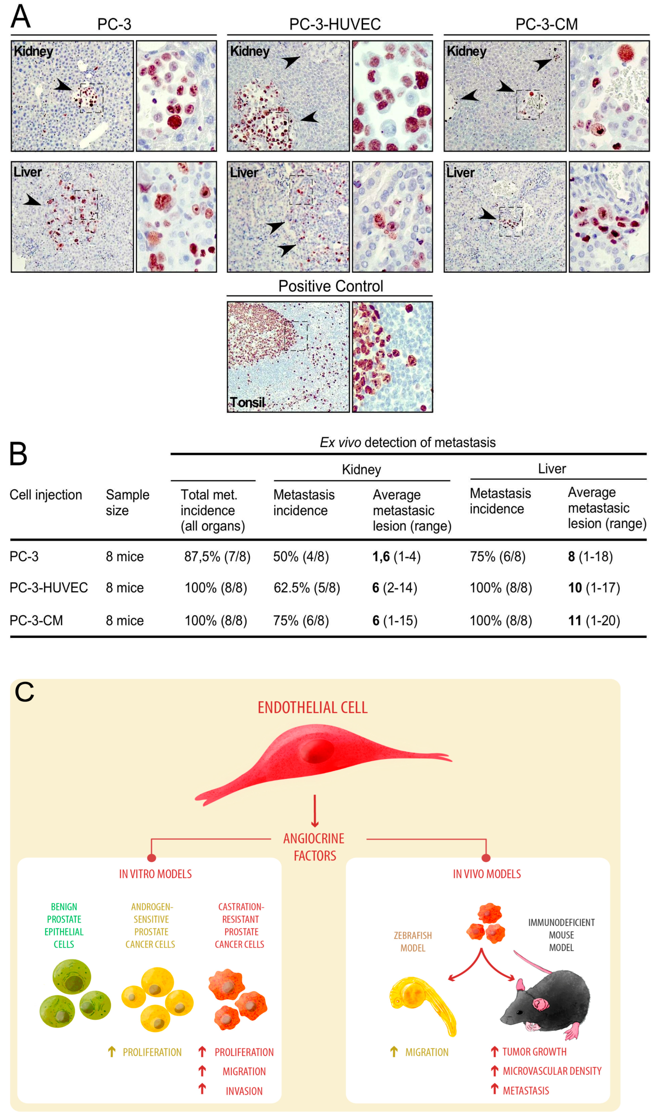 Cancers 14 04750 g004
