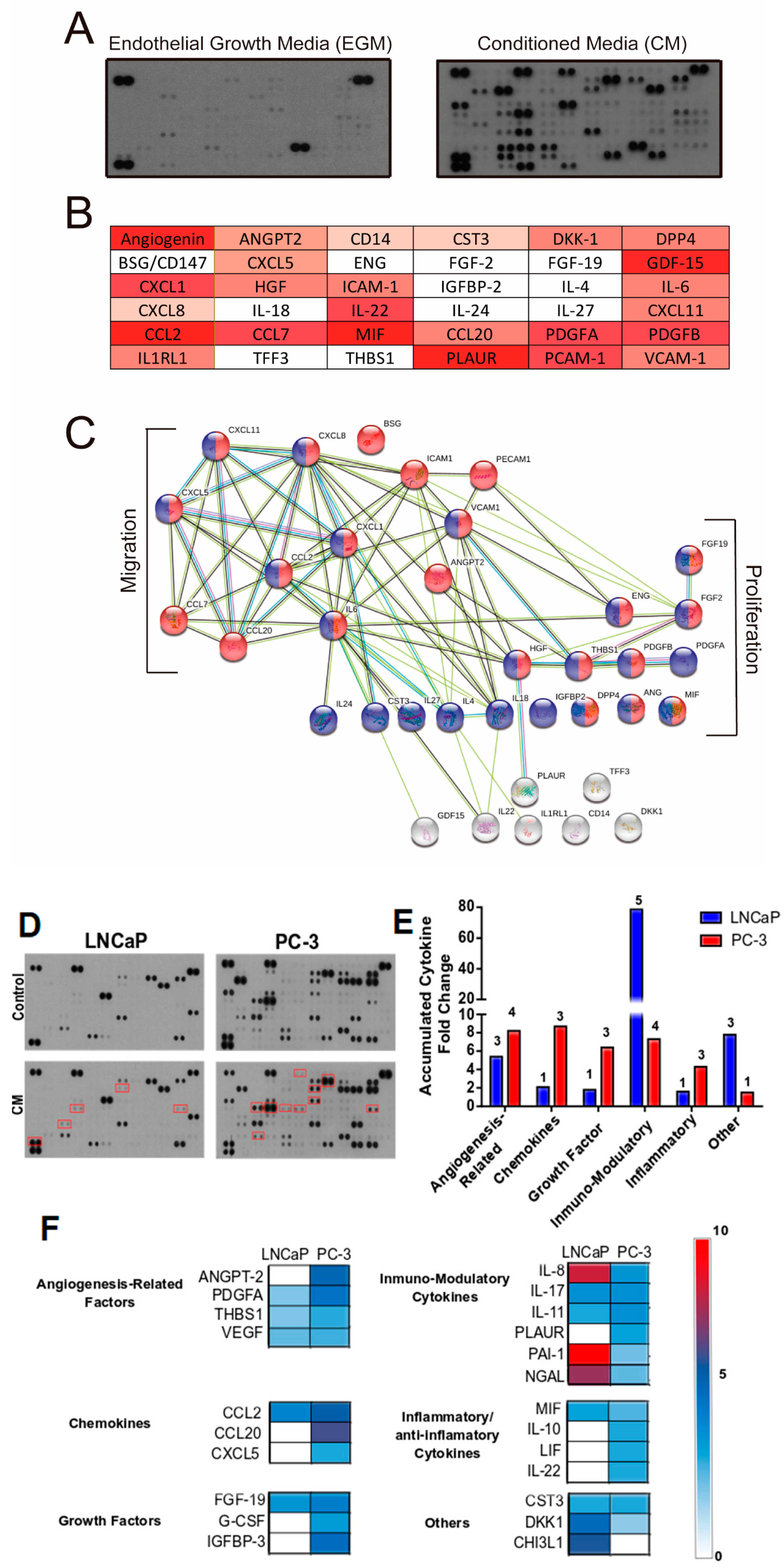 Cancers 14 04750 g005