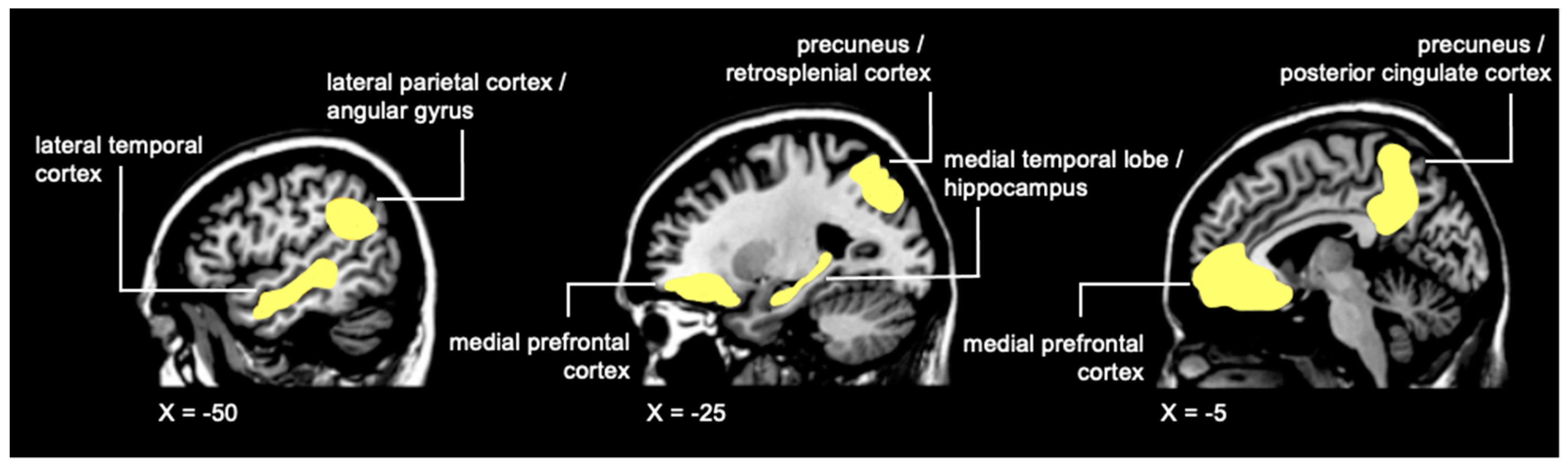 Cancers 14 04752 g001 Cancers 14 04752 g001