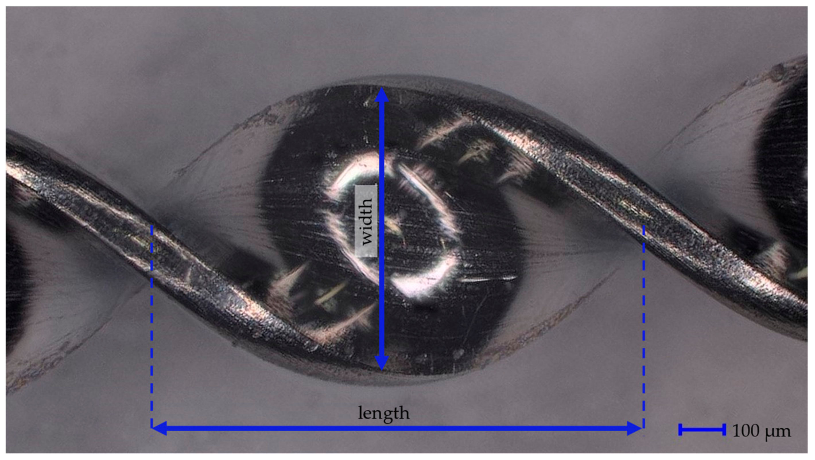 Cancers 14 04753 g001 Cancers 14 04753 g001