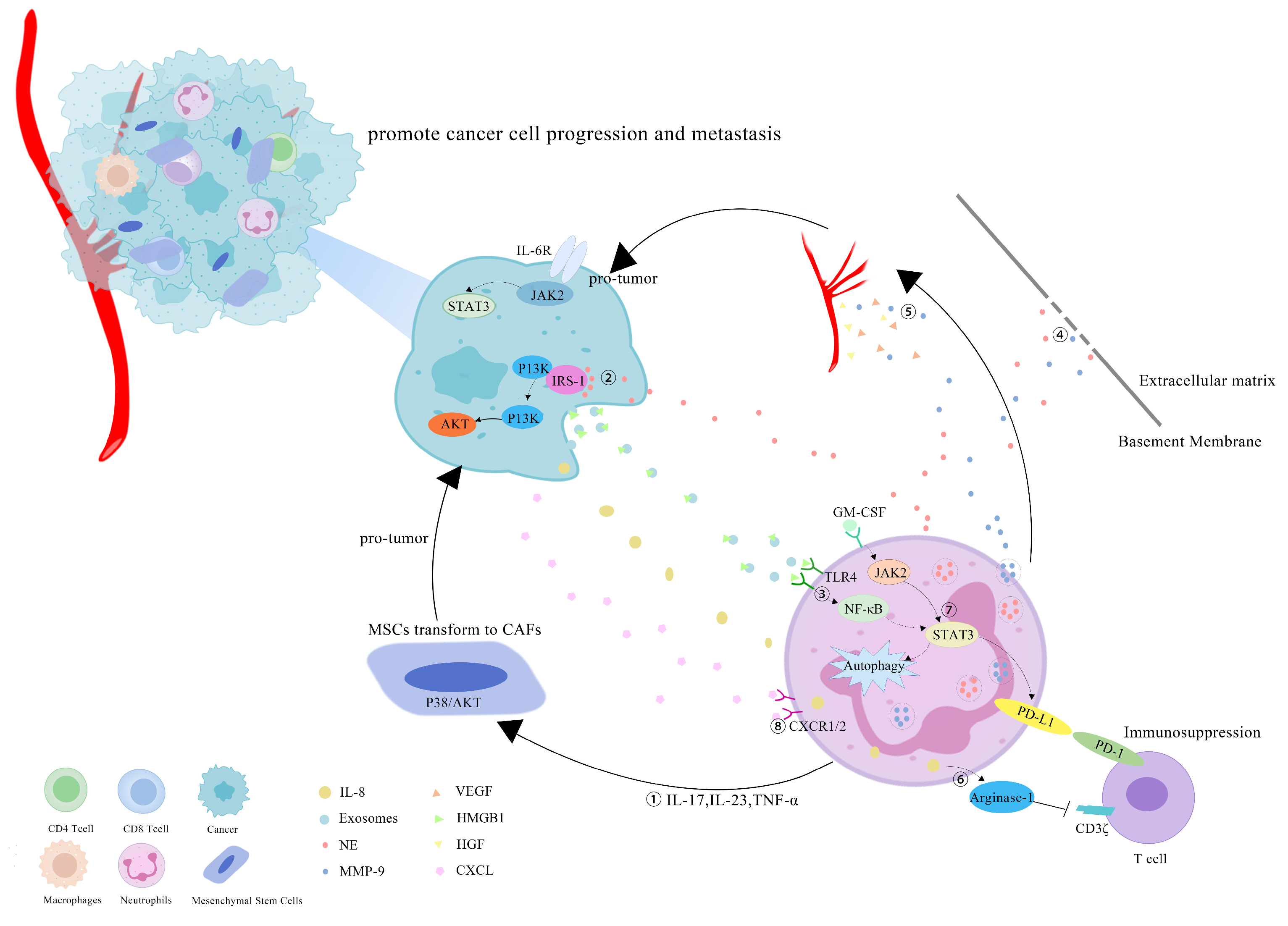 Cancers 14 04755 g001 Cancers 14 04755 g001