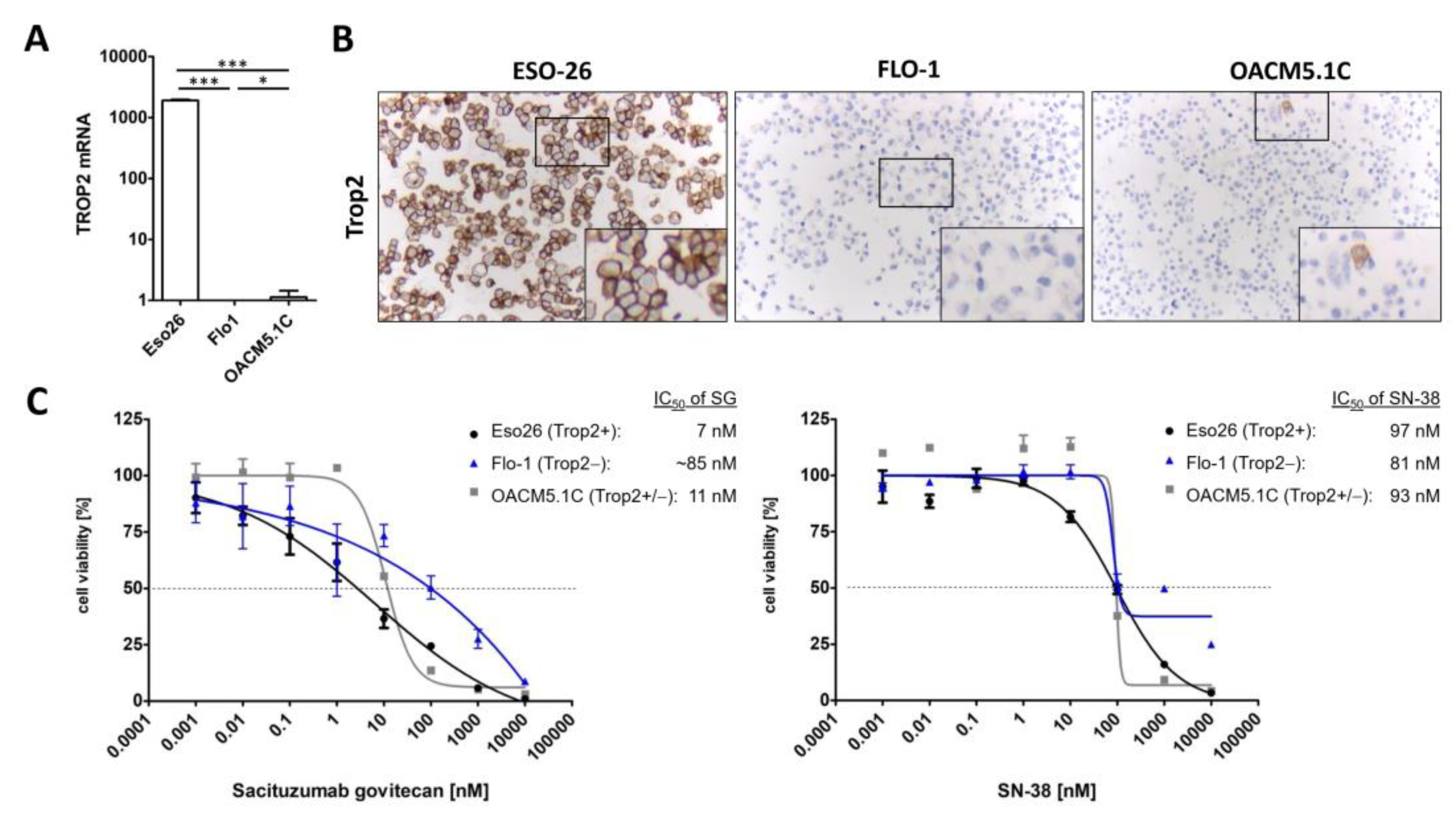 Cancers 14 04789 g001 Cancers 14 04789 g001
