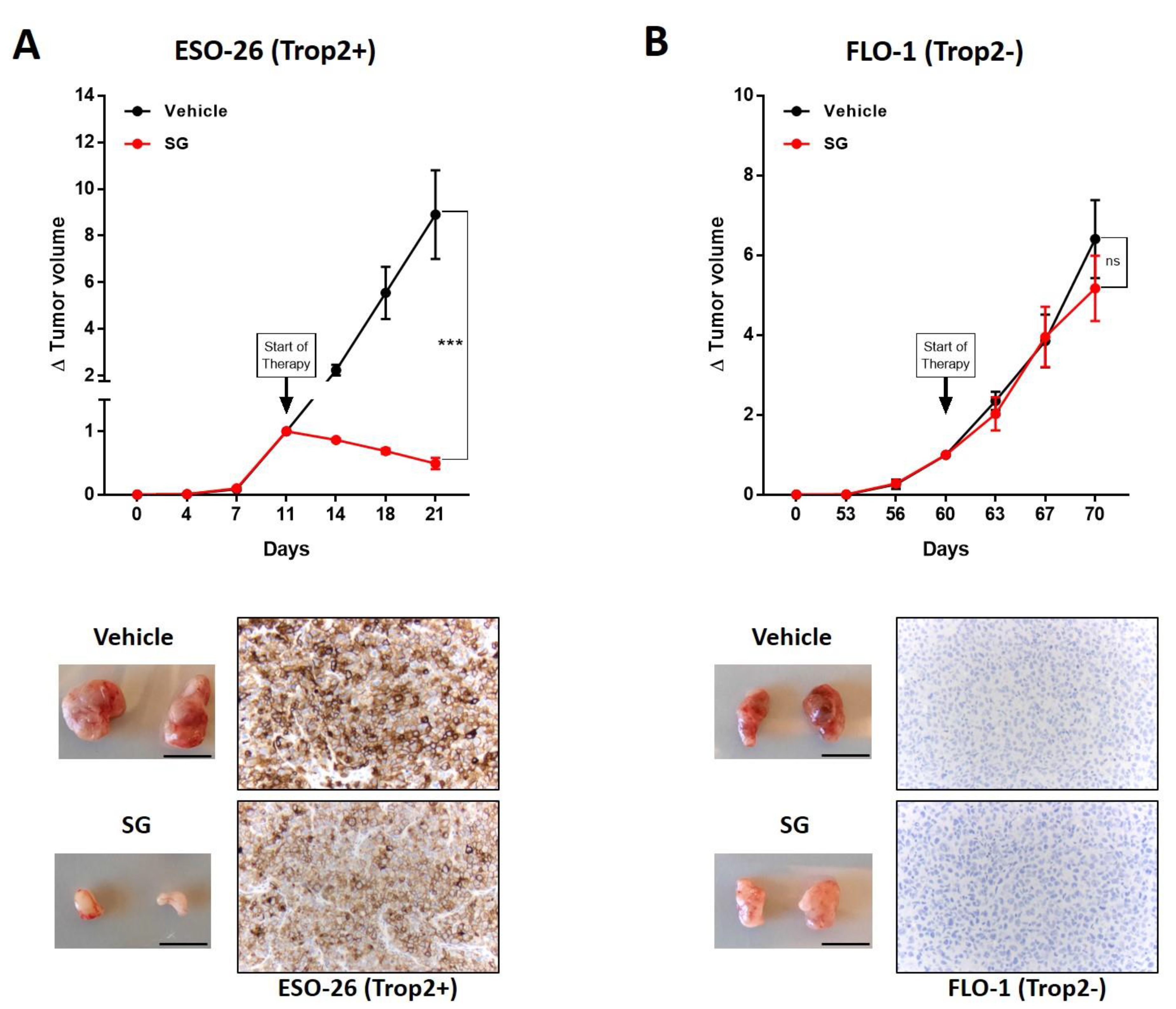 Cancers 14 04789 g002 Cancers 14 04789 g002