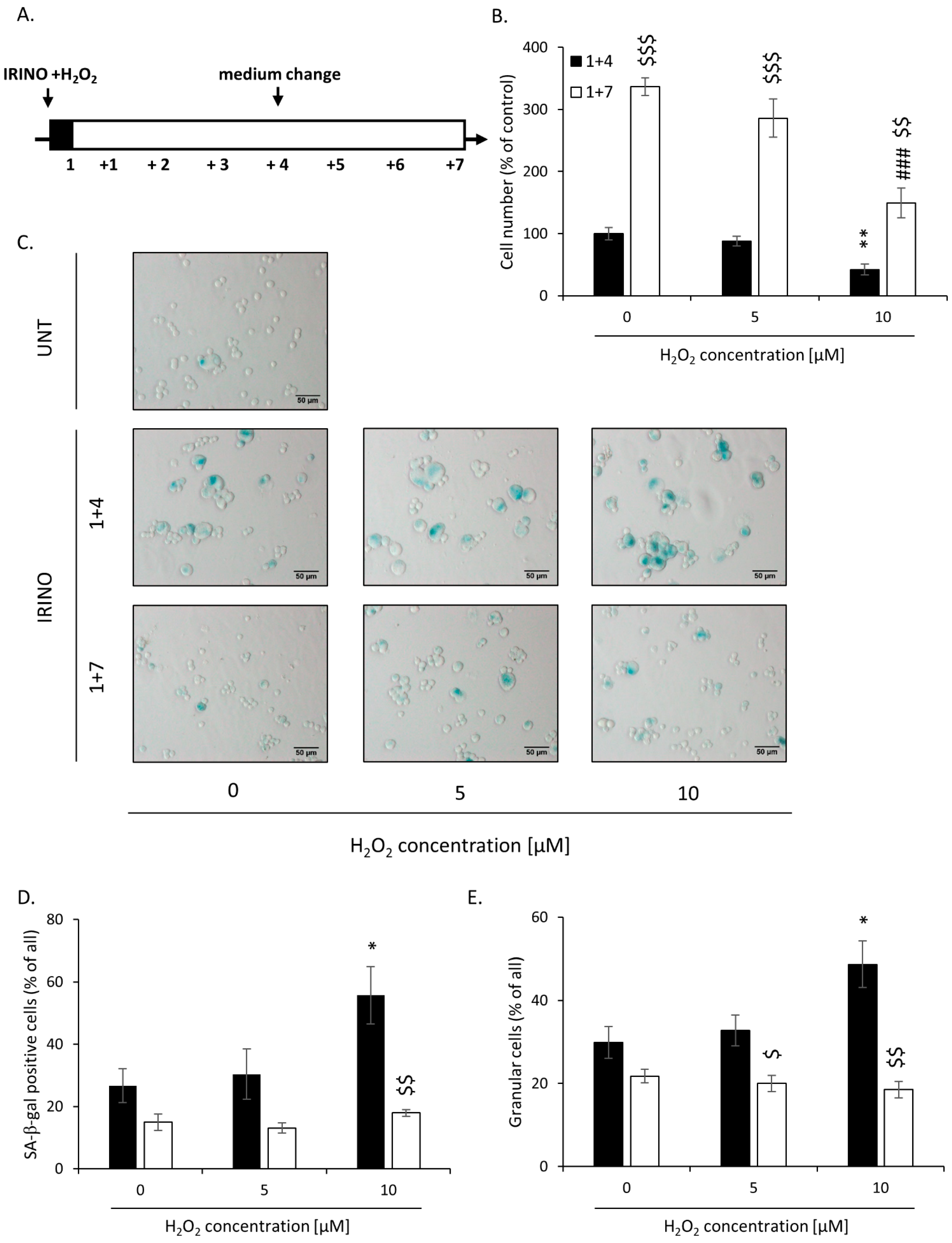 Cancers 14 04793 g003