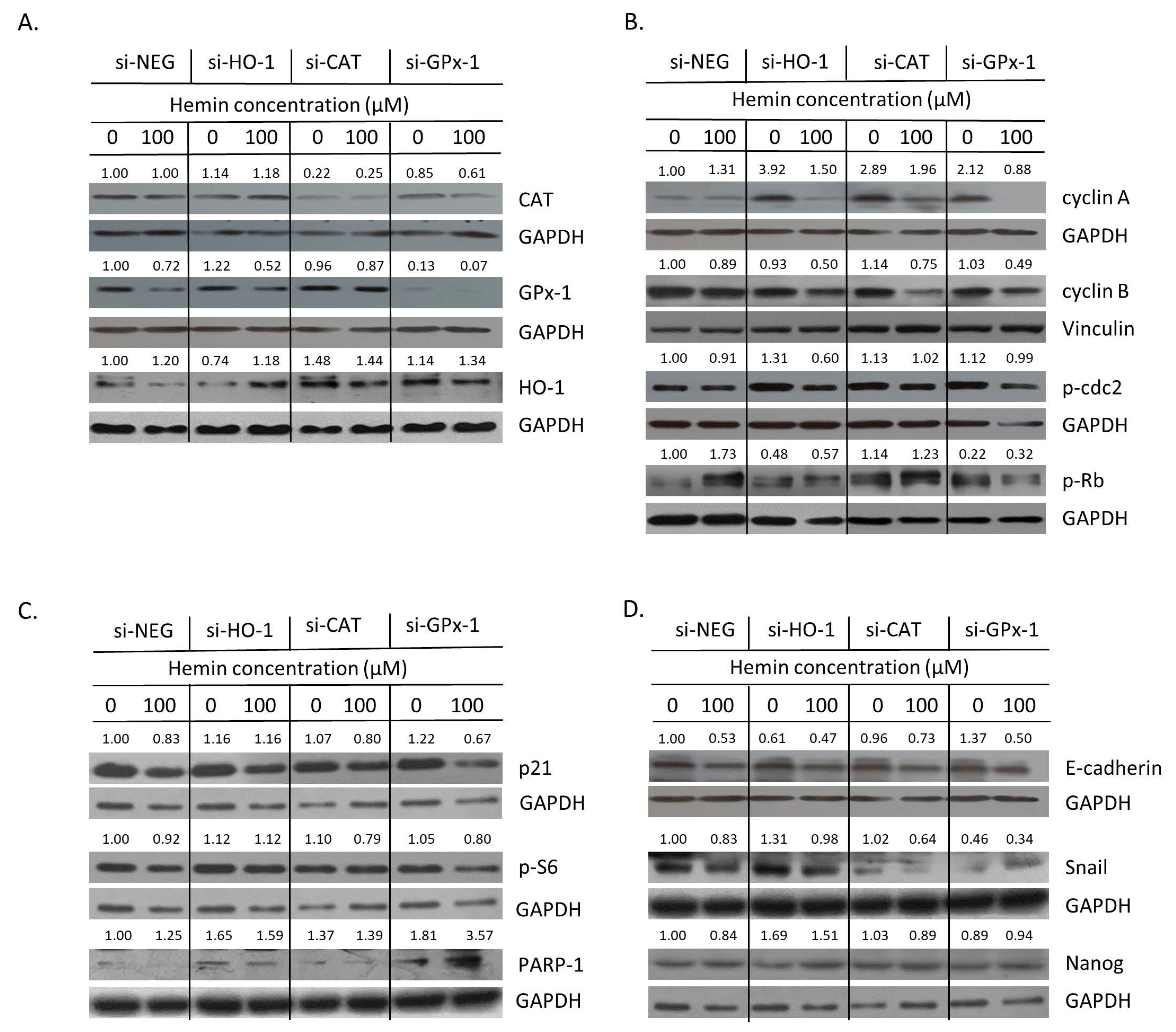 Cancers 14 04793 g007