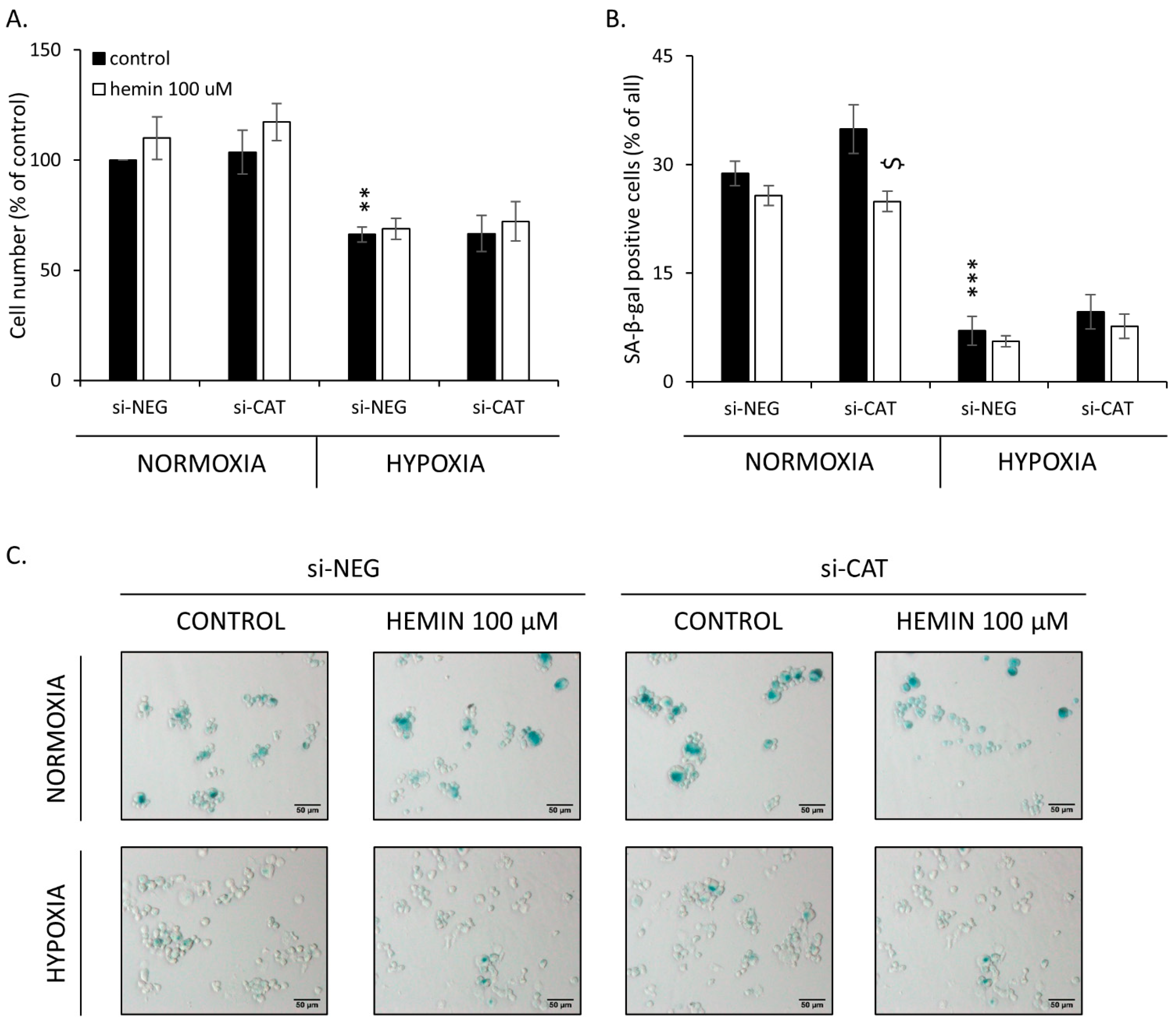 Cancers 14 04793 g008