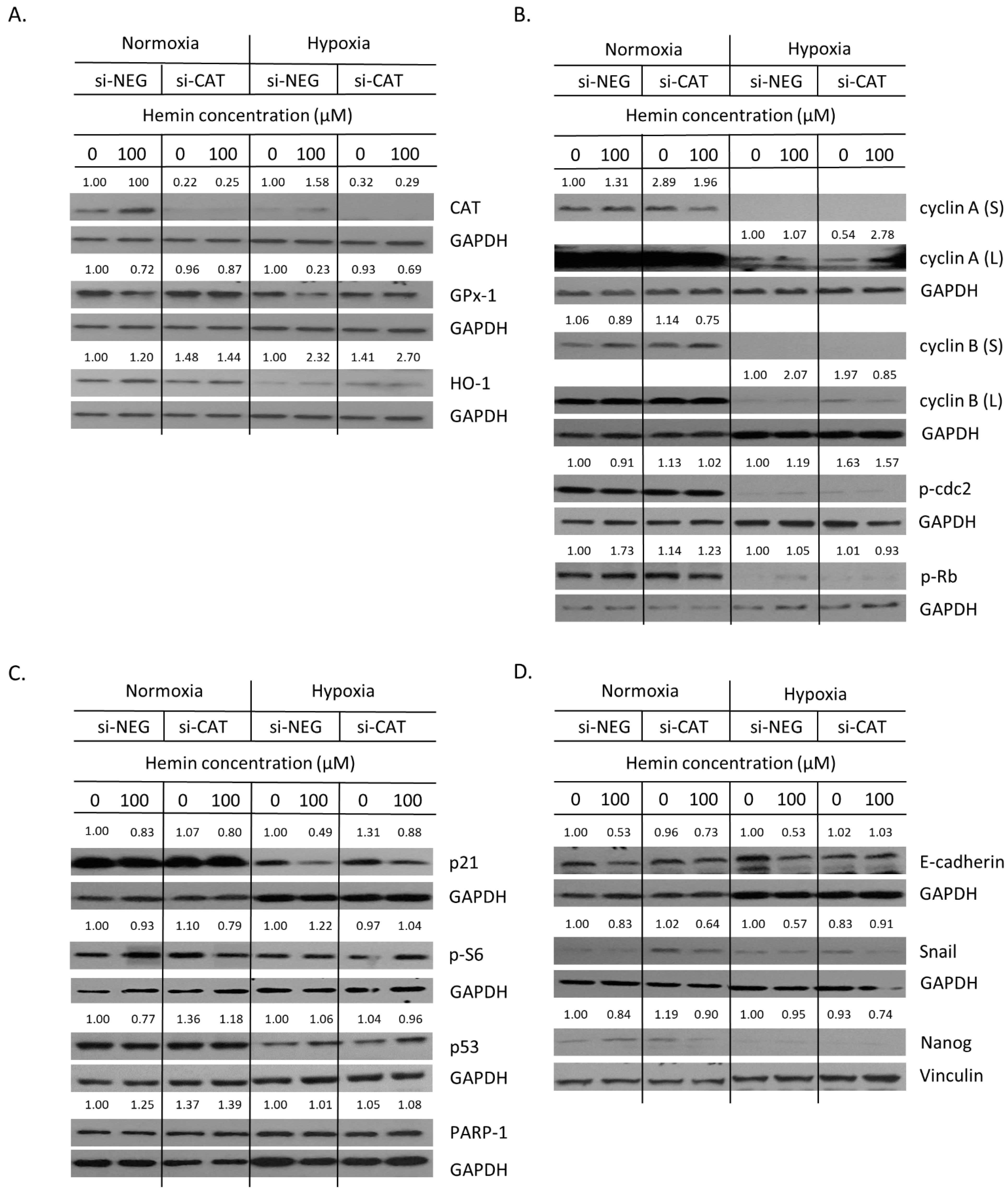 Cancers 14 04793 g009