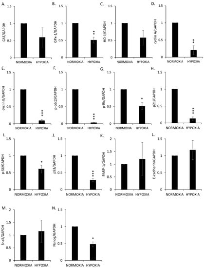 Cancers 14 04793 g0a7