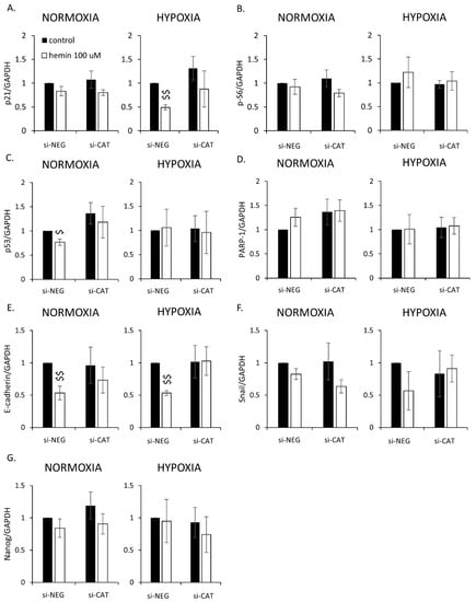 Cancers 14 04793 g0a9