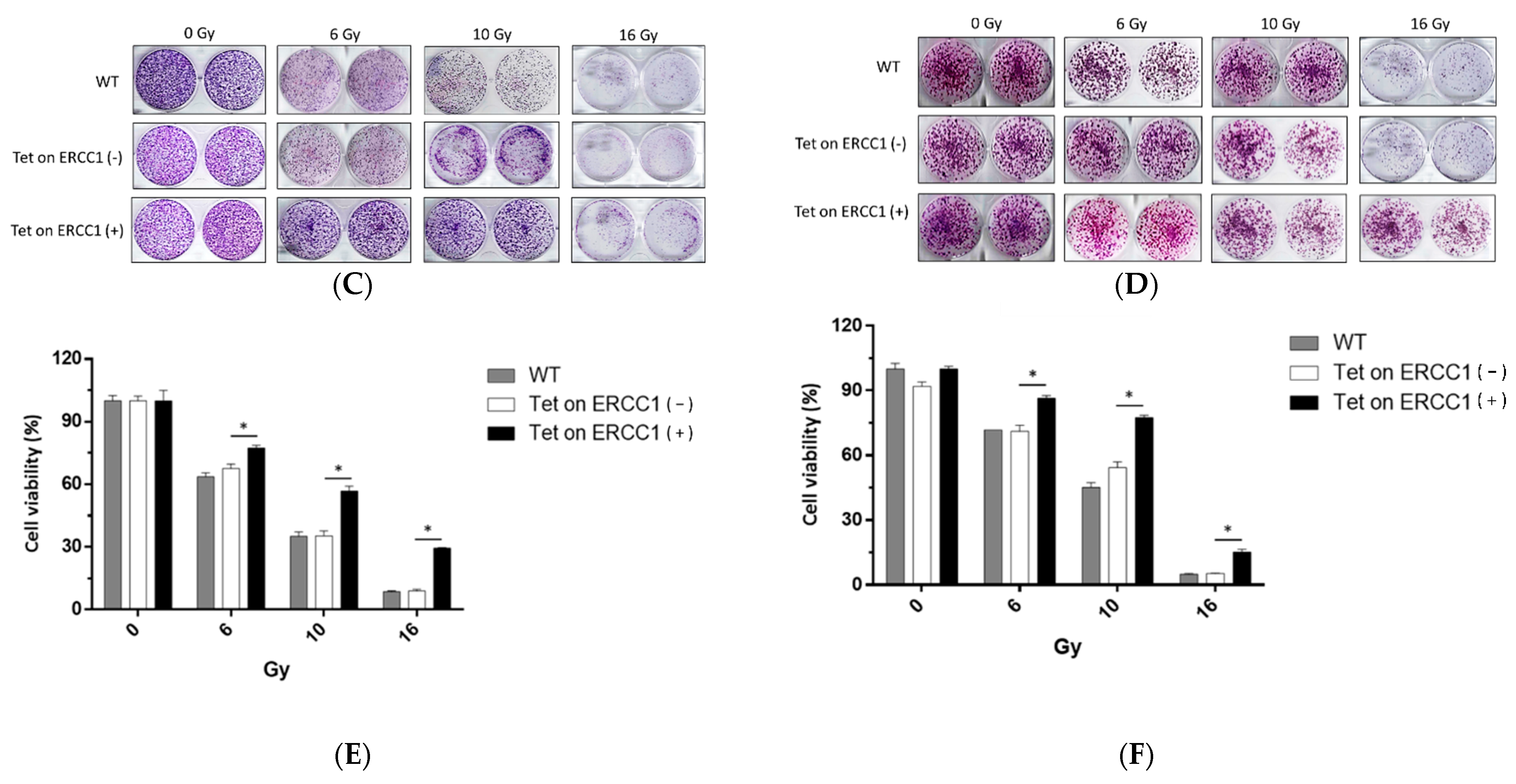 Cancers 14 04798 g002b