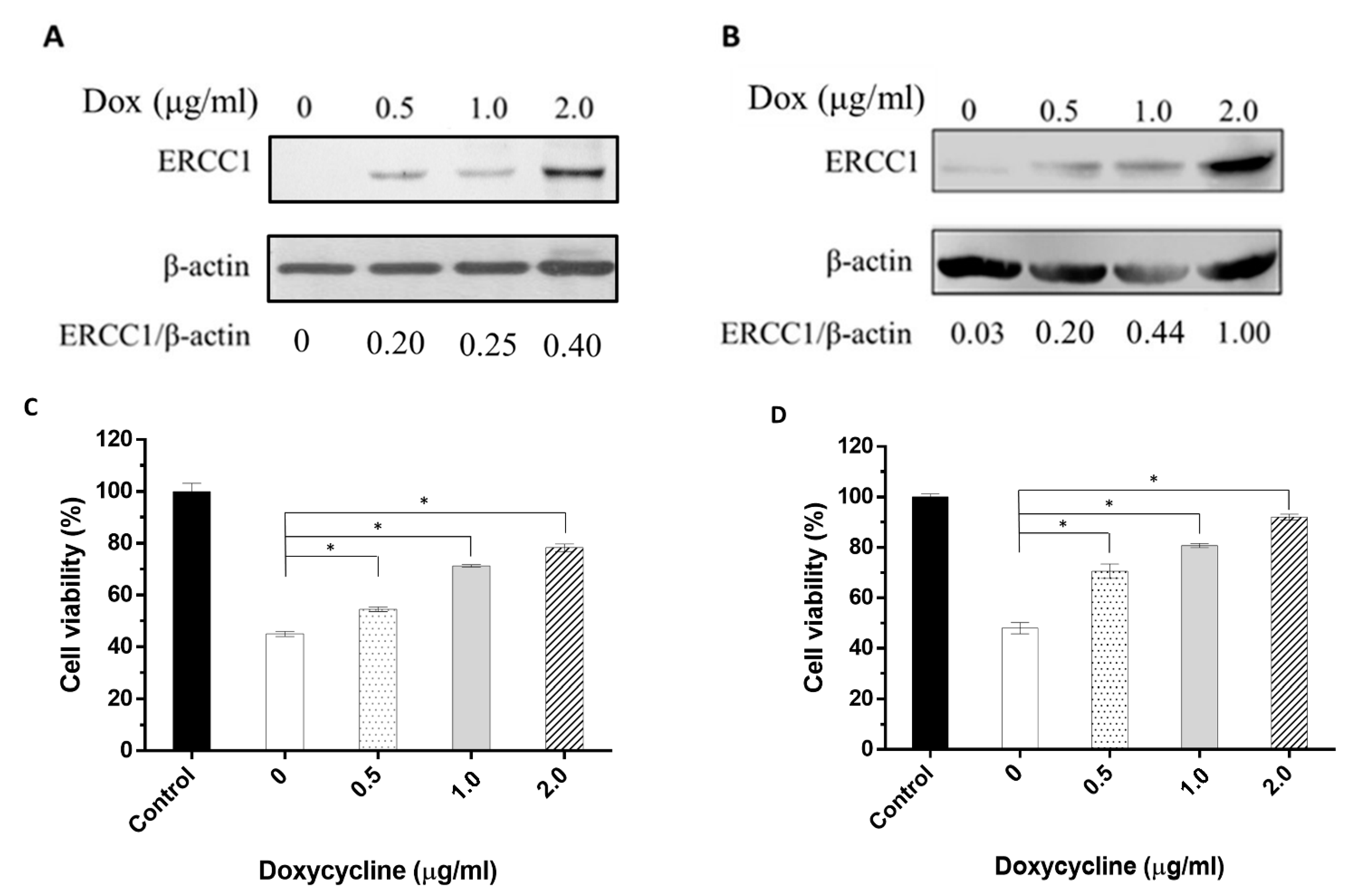 Cancers 14 04798 g003