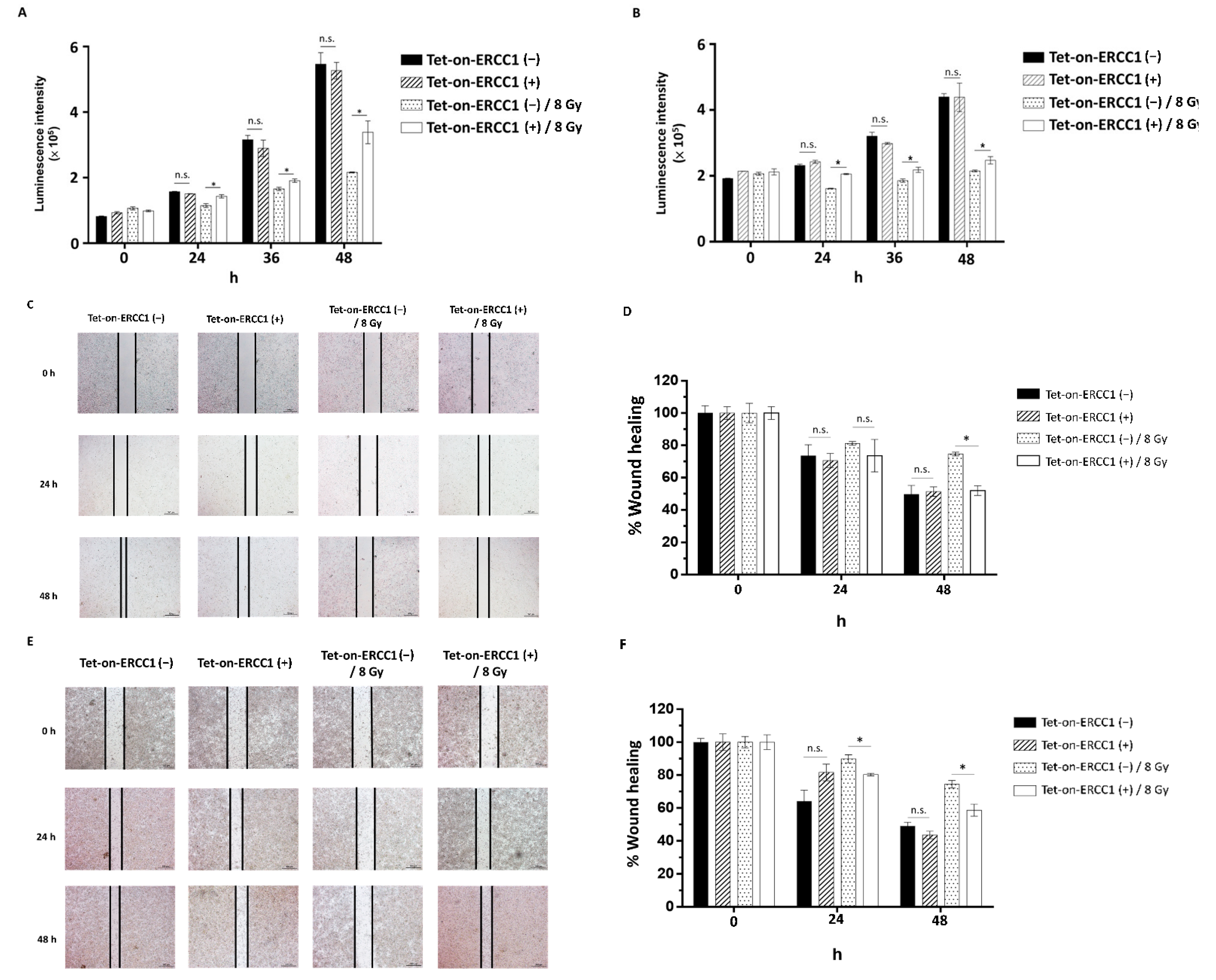Cancers 14 04798 g004