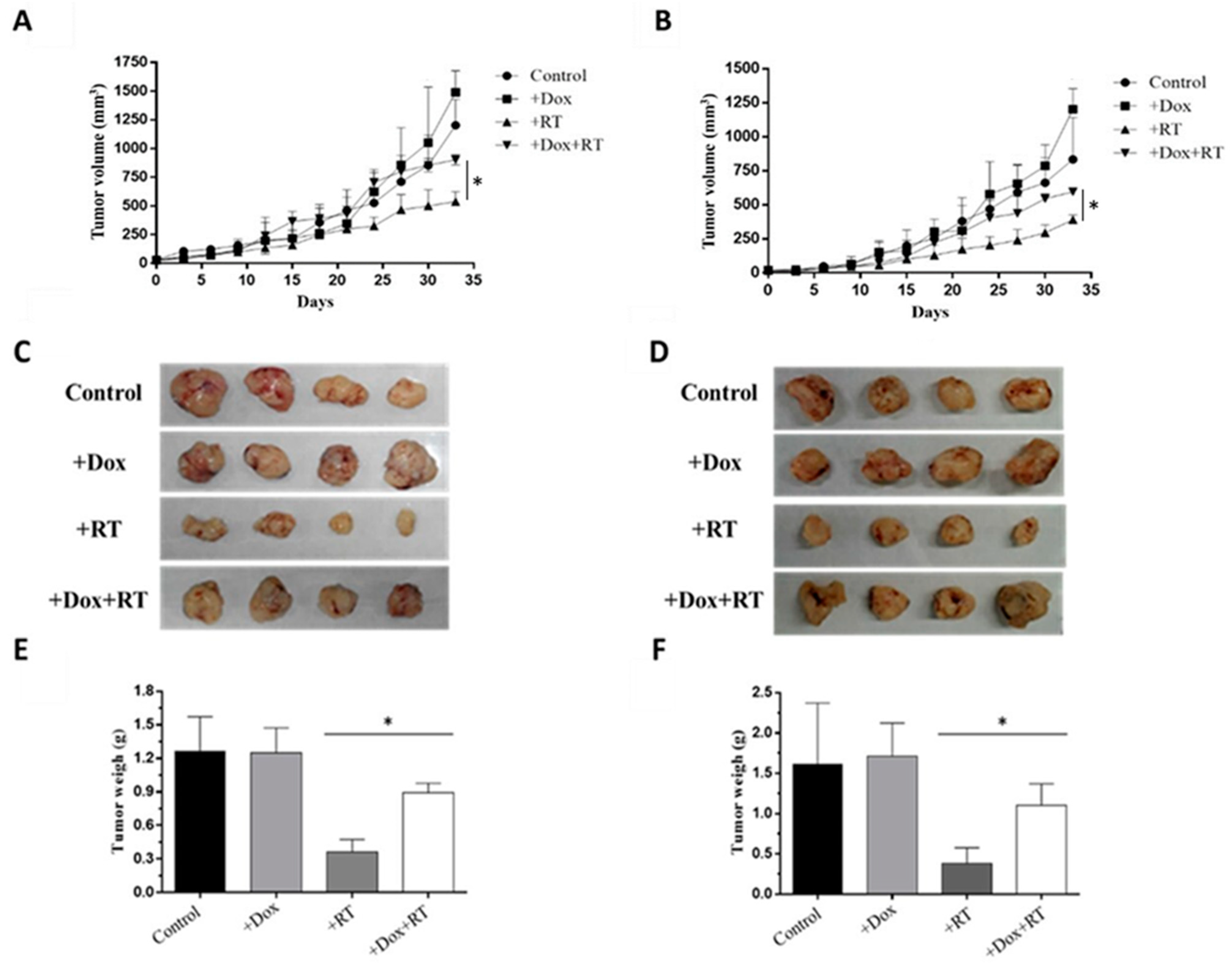 Cancers 14 04798 g006