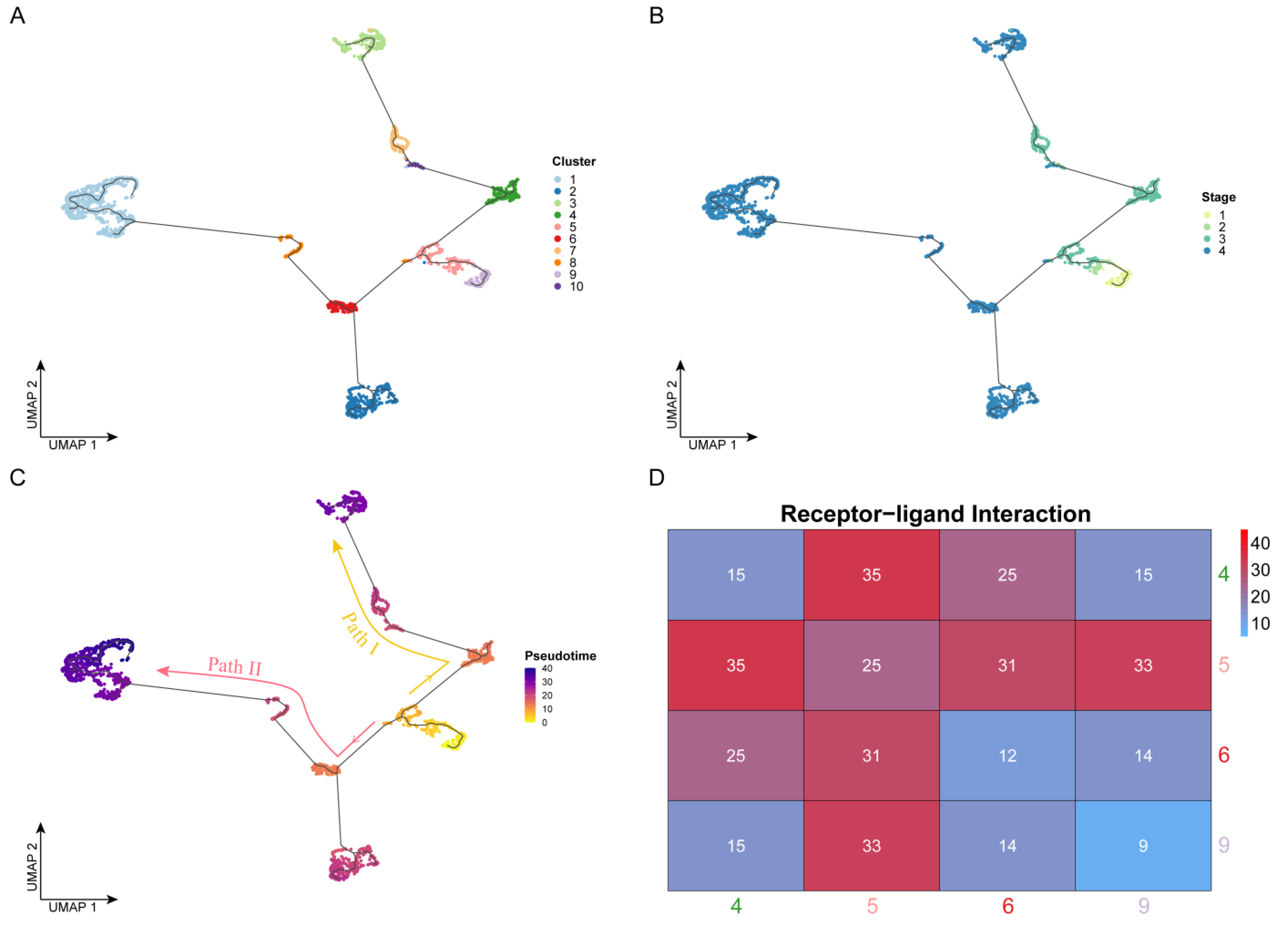 Cancers 14 04801 g002