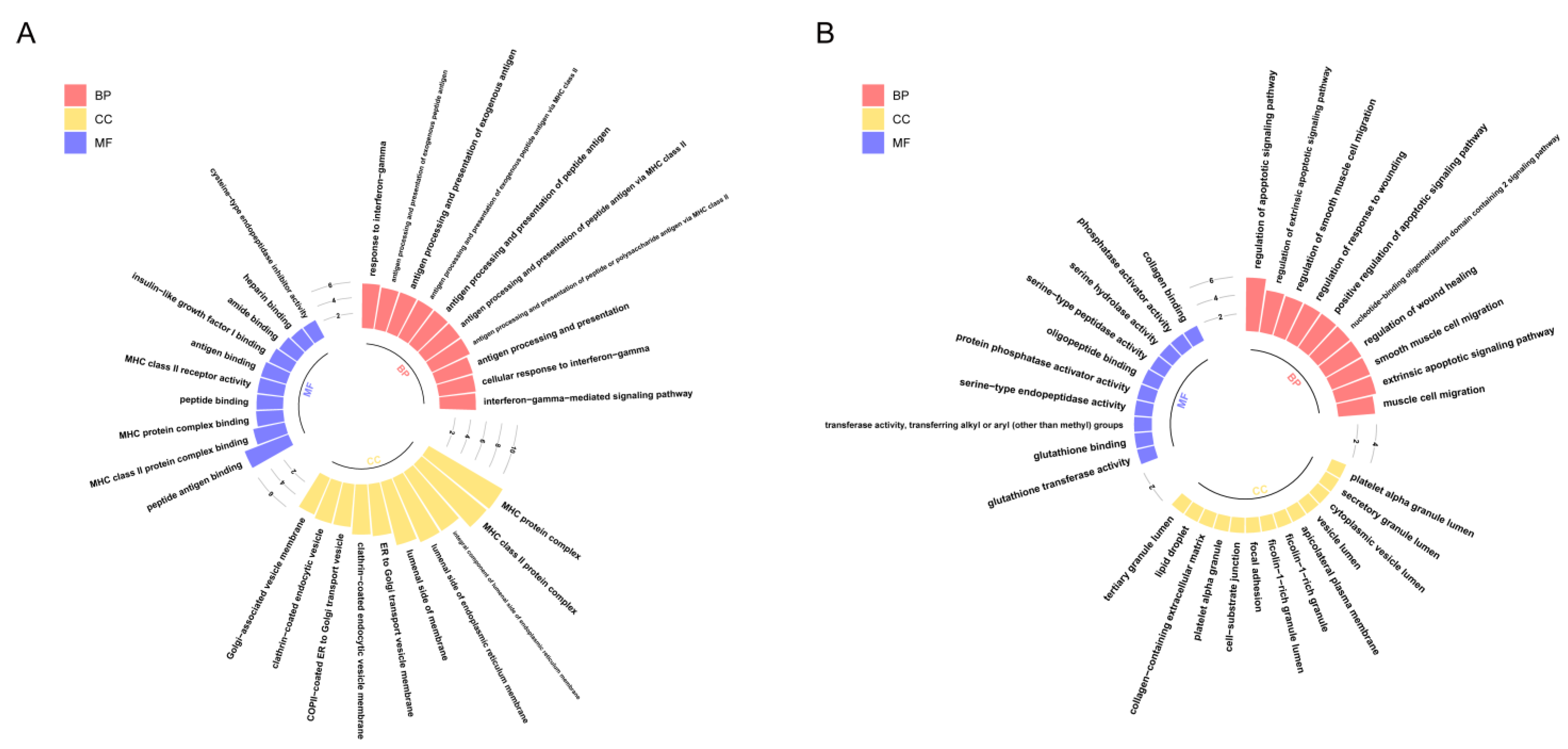 Cancers 14 04801 g004