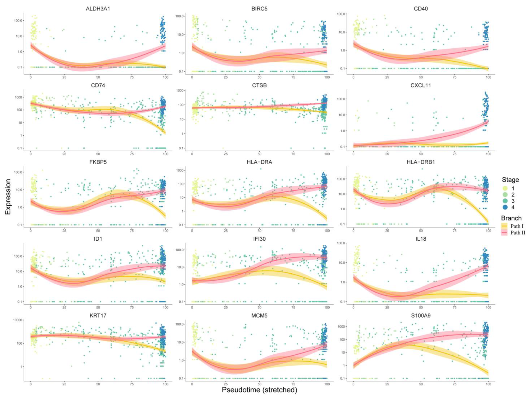 Cancers 14 04801 g006