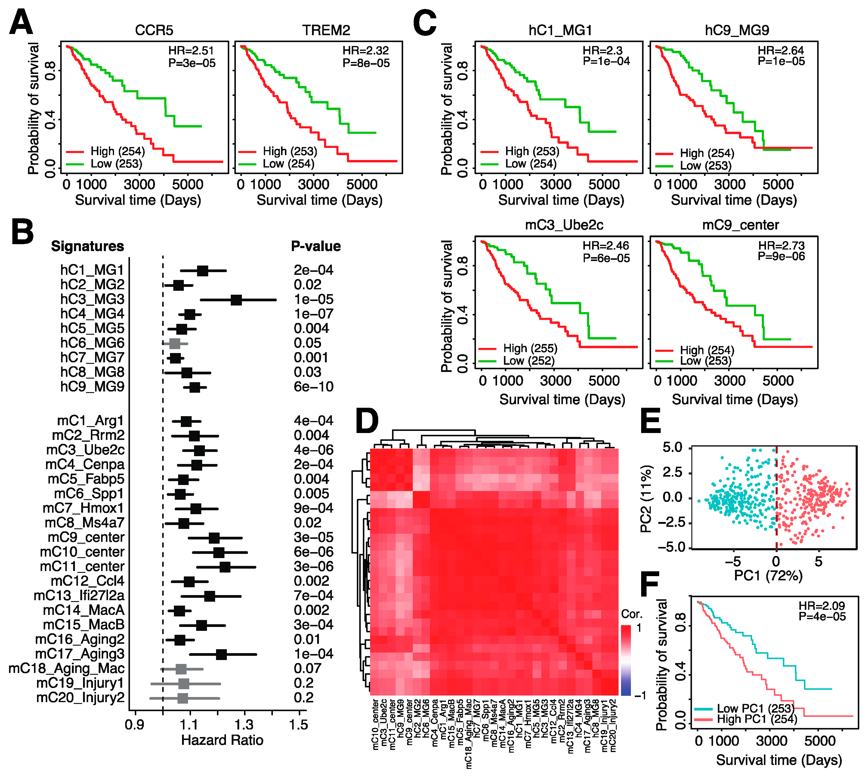 Cancers 14 04802 g003