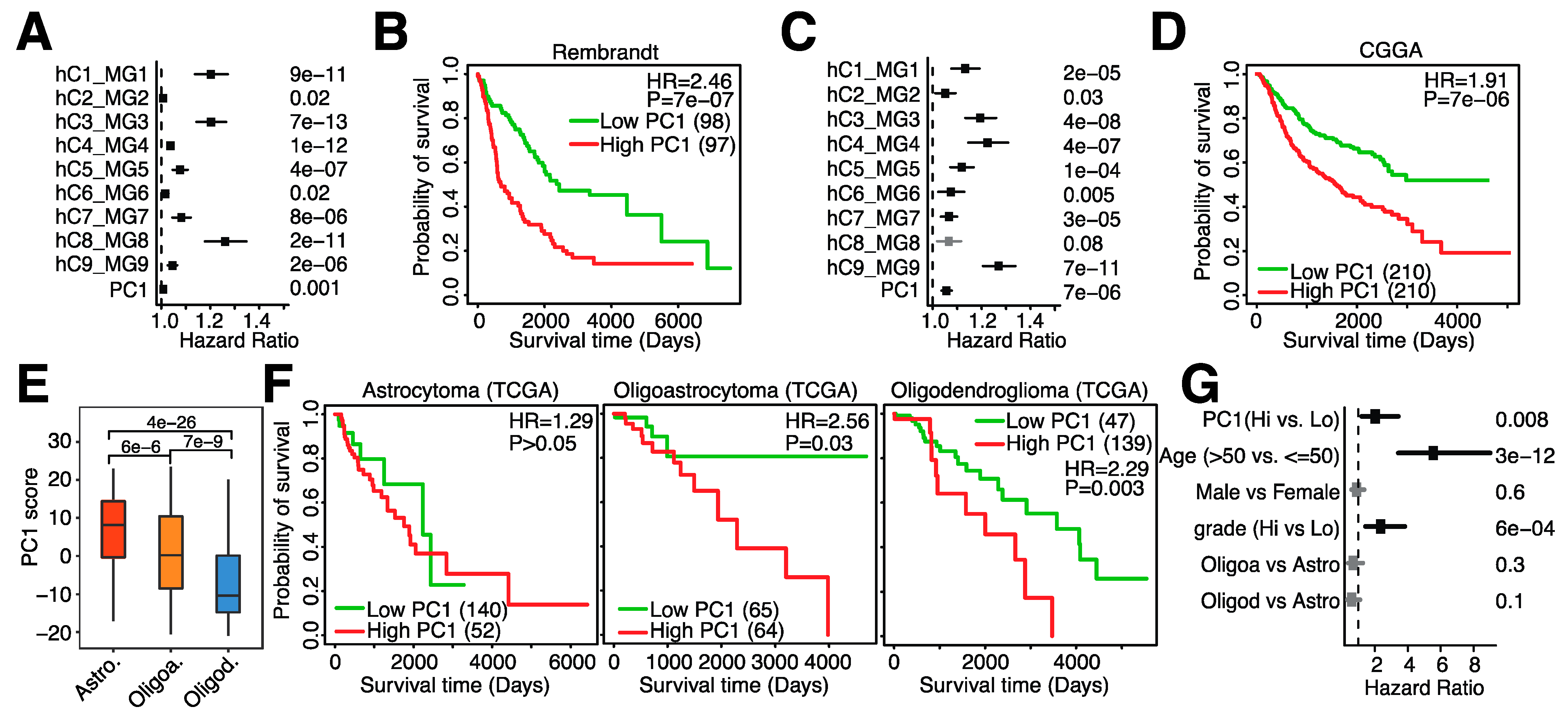 Cancers 14 04802 g004