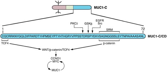 Cancers 14 04805 g005