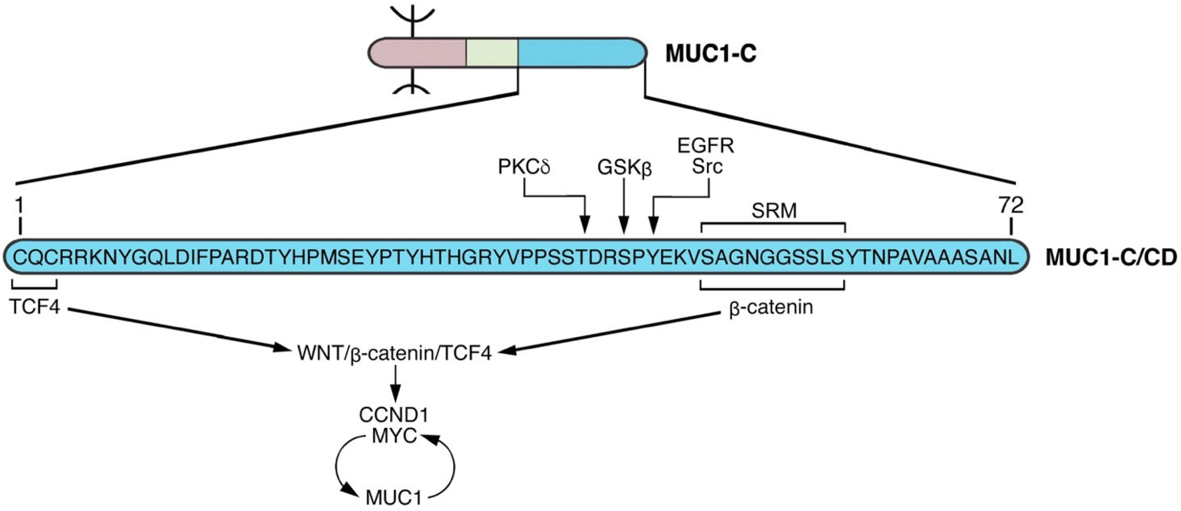 Cancers 14 04805 g005