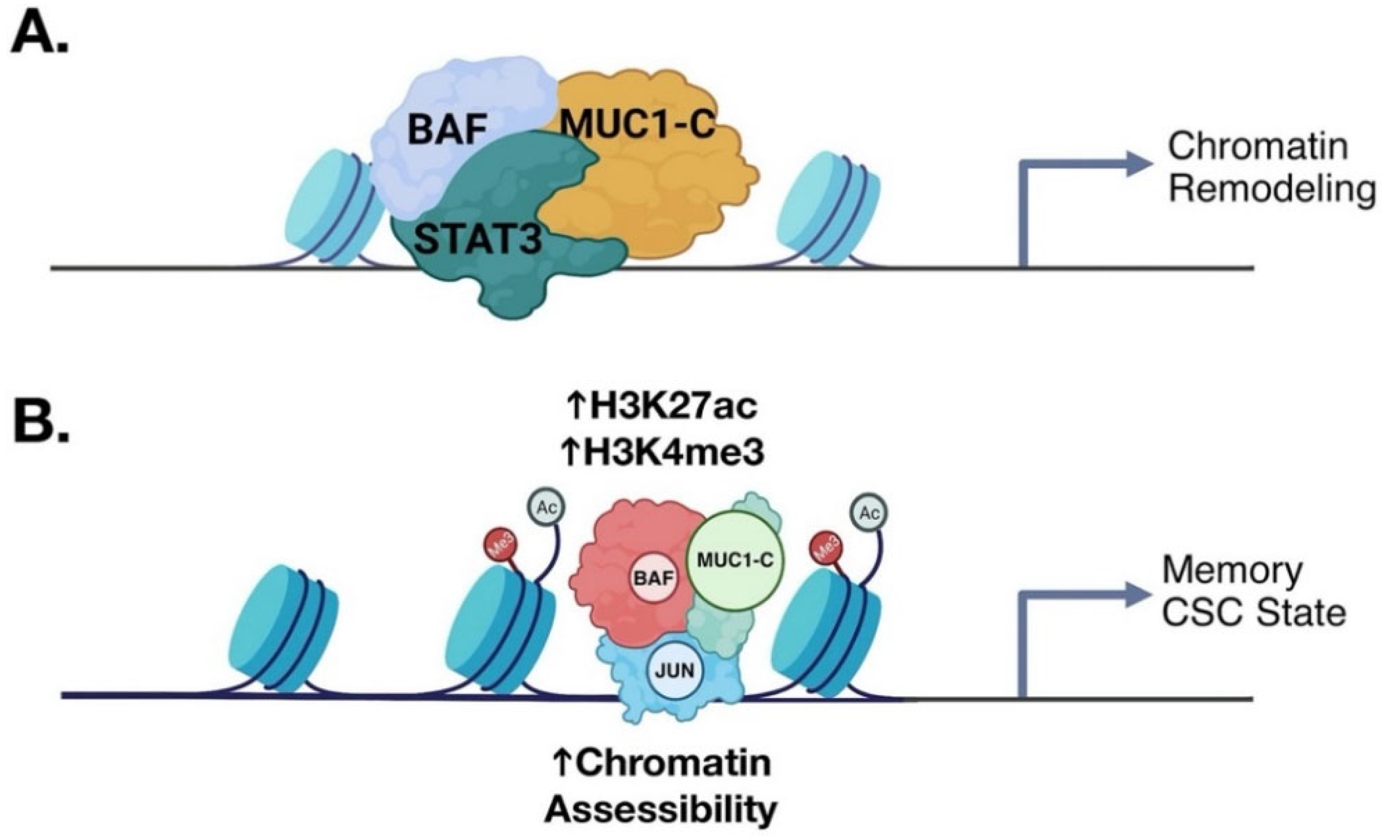 Cancers 14 04805 g008