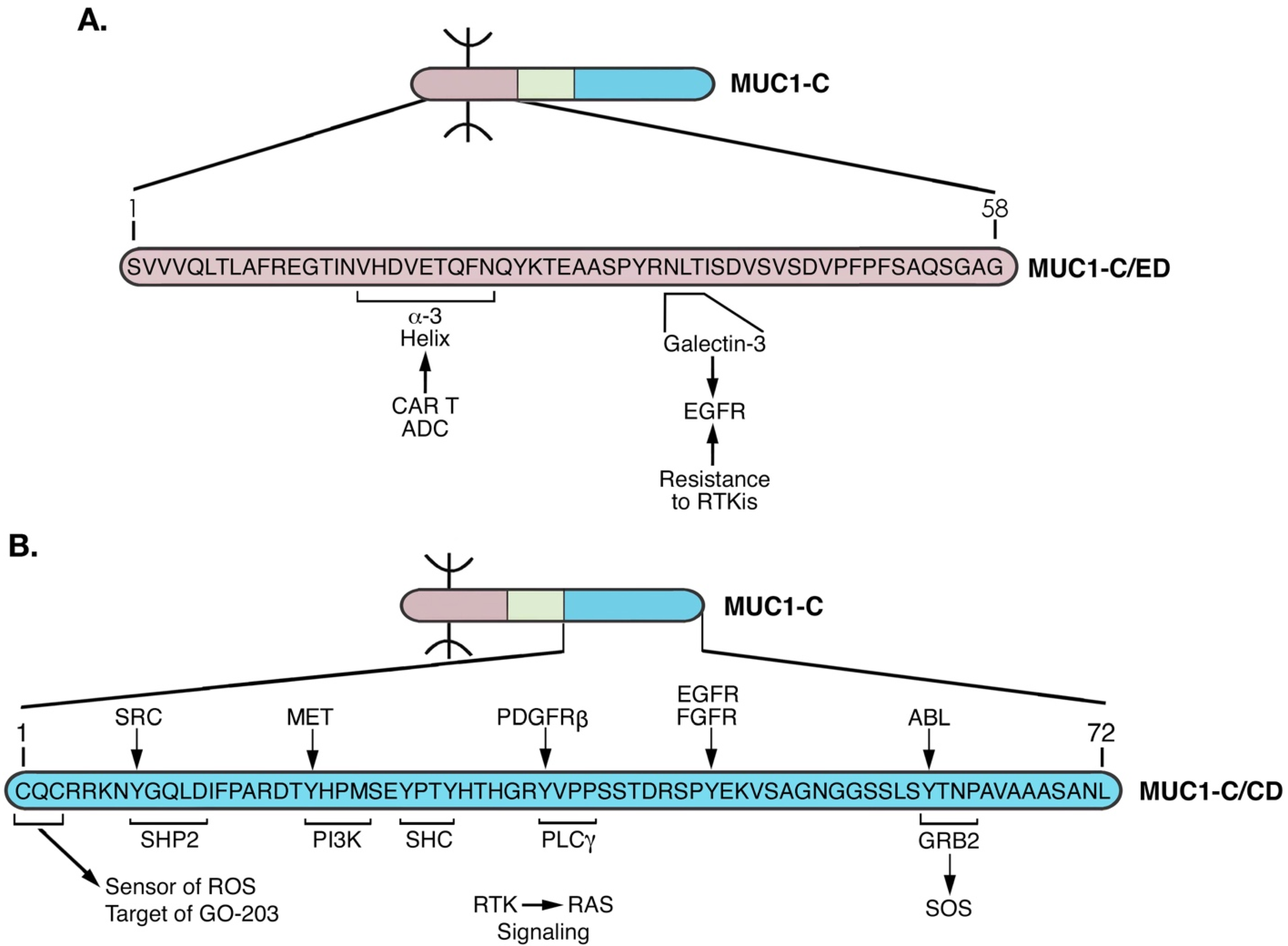 Cancers 14 04805 g009