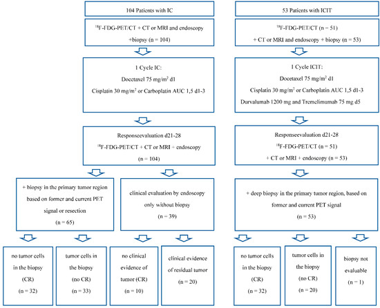 Cancers 14 04811 g001