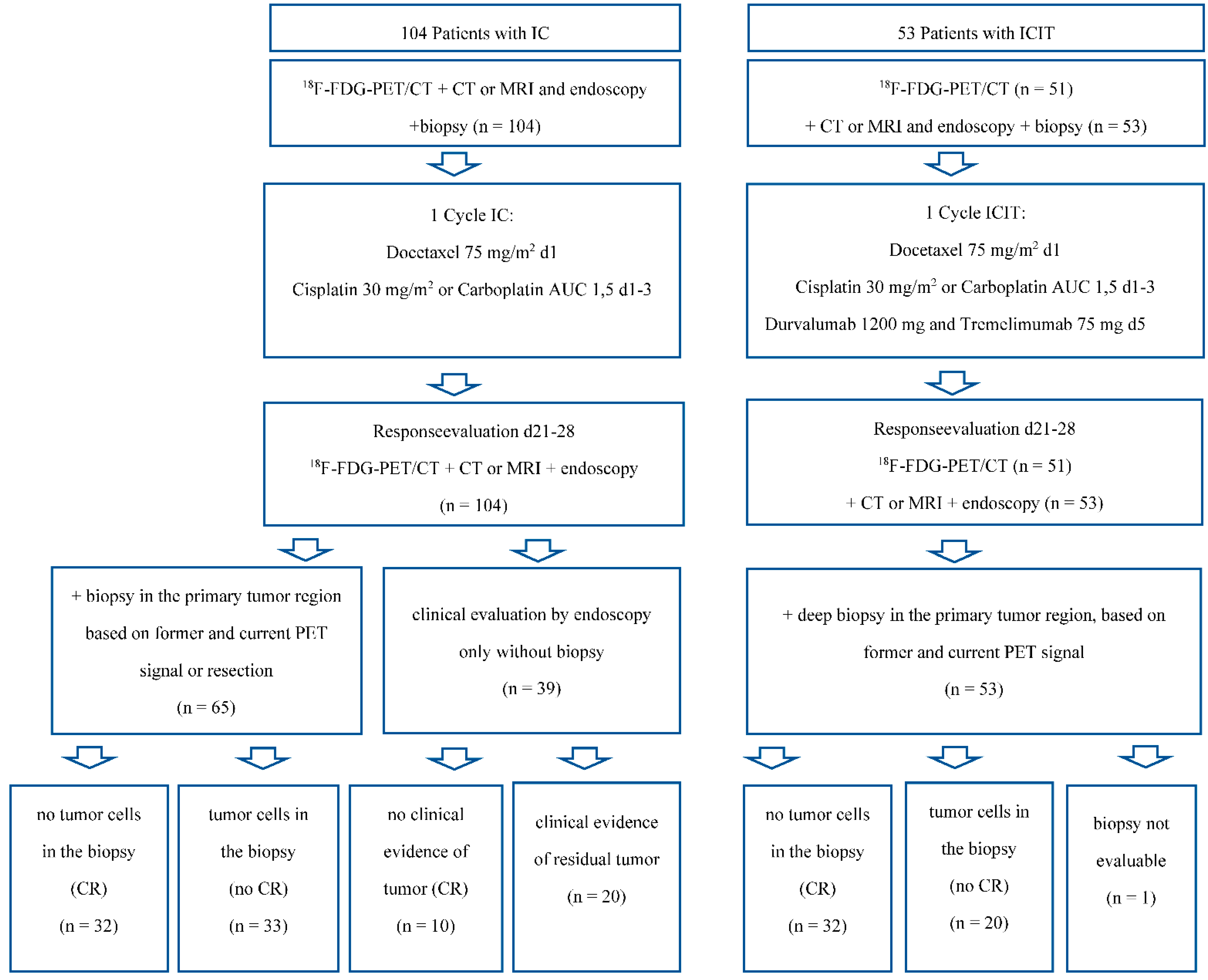 Cancers 14 04811 g001 Cancers 14 04811 g001