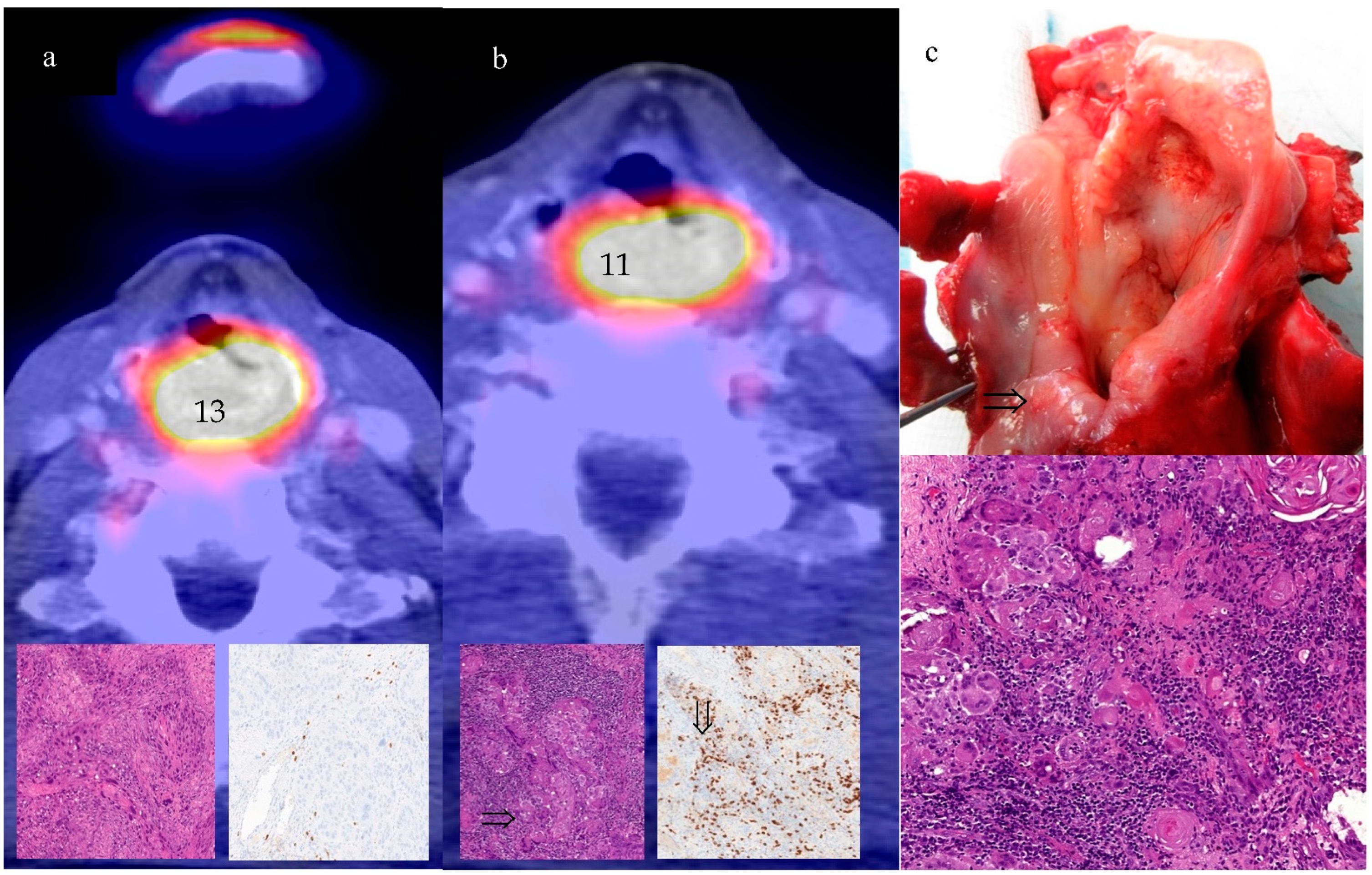 Cancers 14 04811 g003 Cancers 14 04811 g003