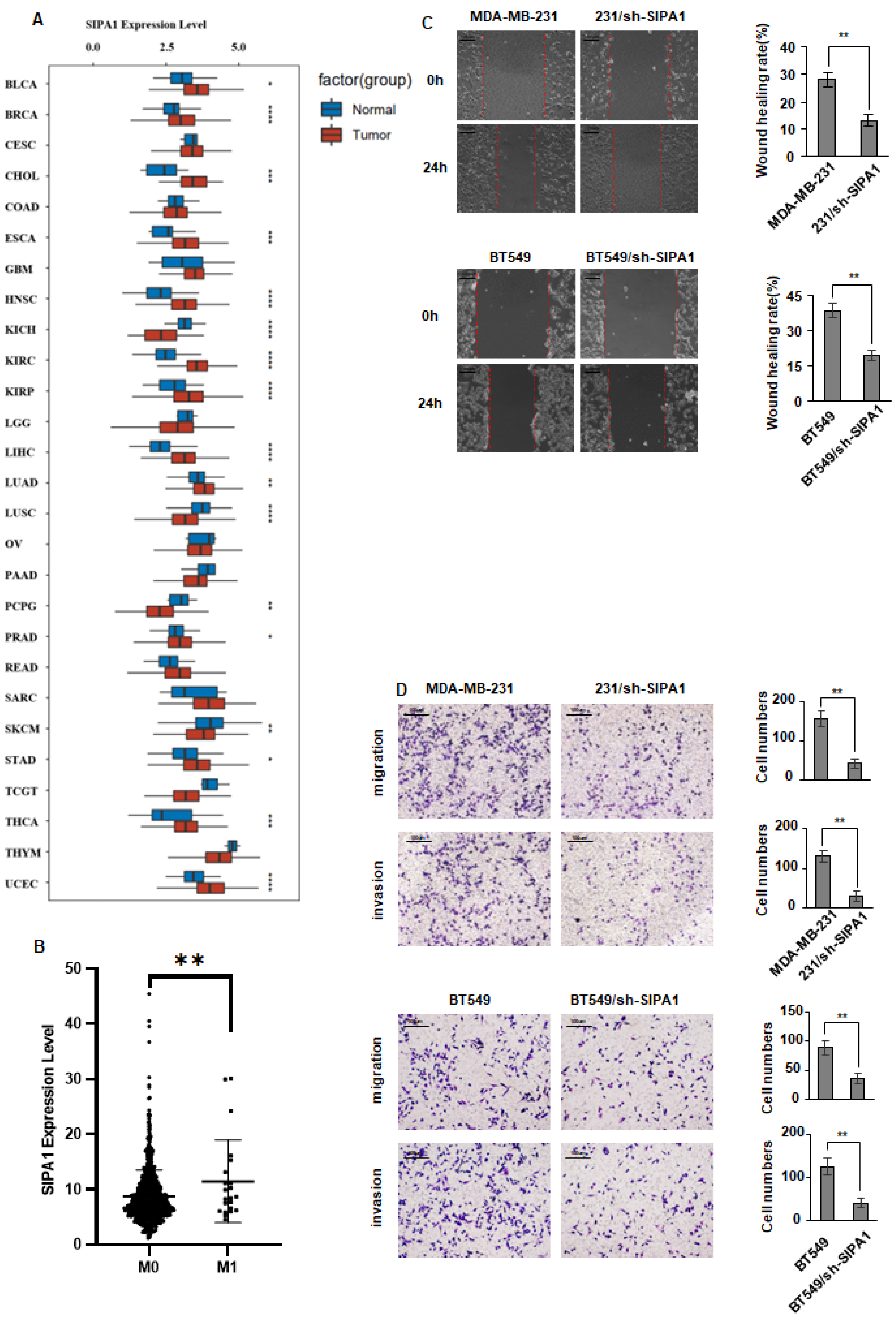 Cancers 14 04815 g001