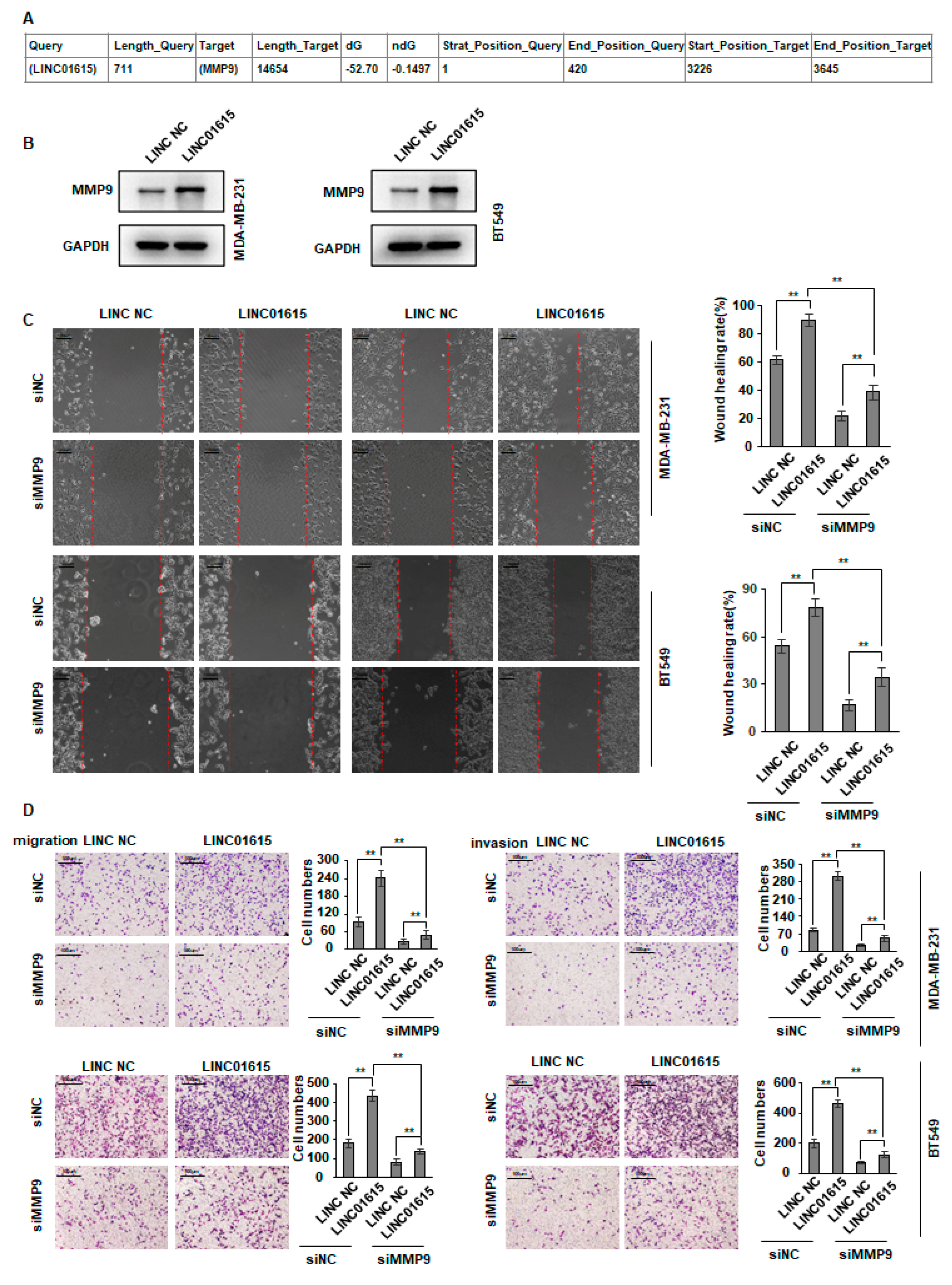 Cancers 14 04815 g005