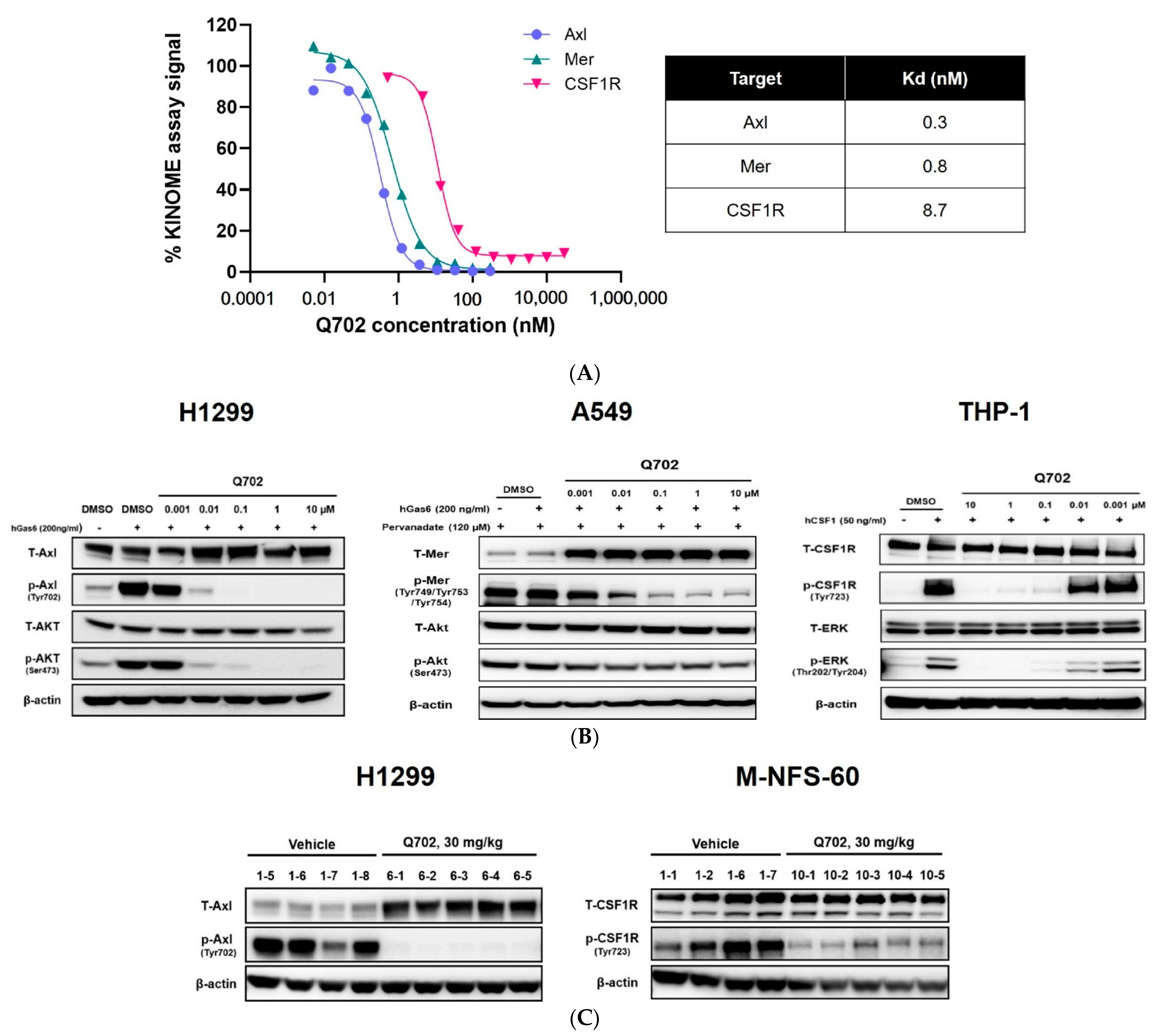 Cancers 14 04821 g001 Cancers 14 04821 g001