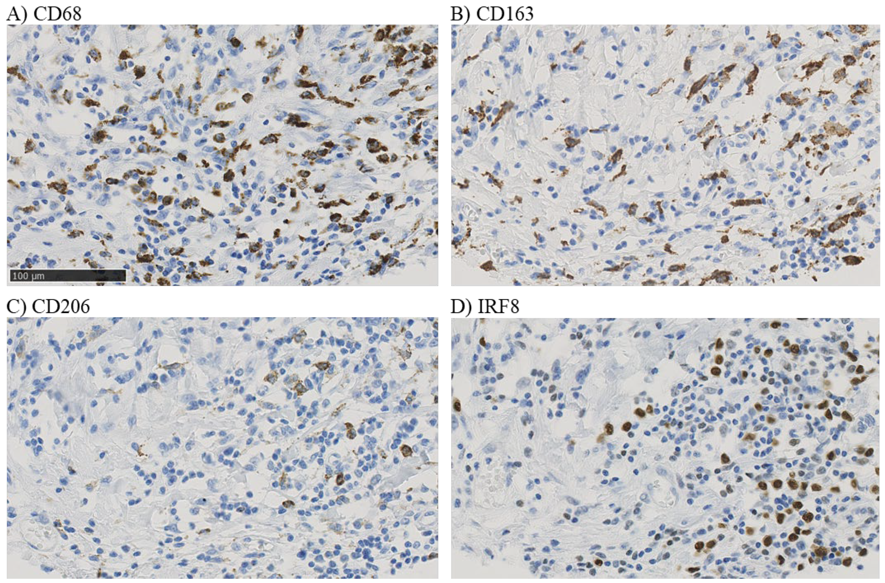 Cancers 14 04829 g002