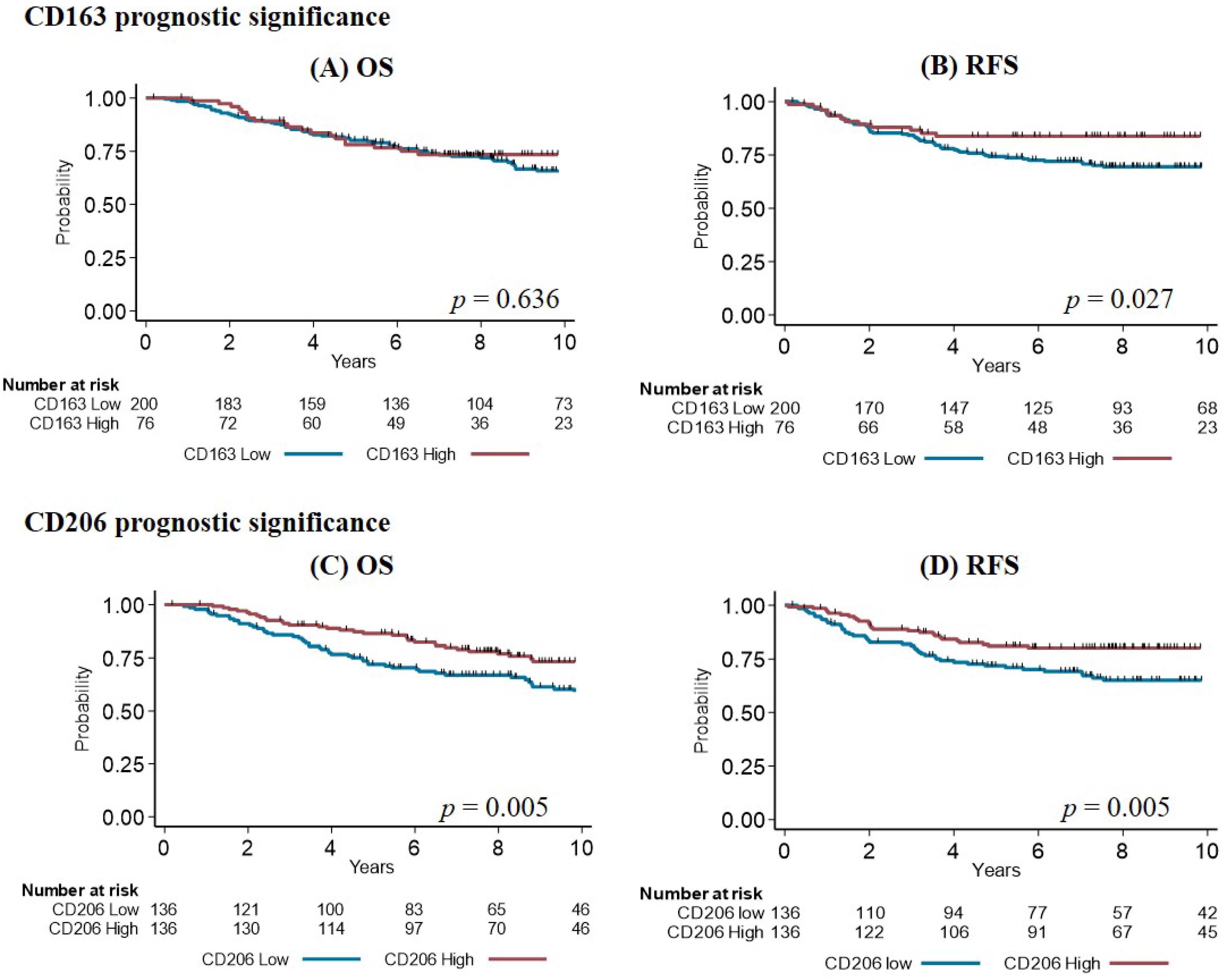 Cancers 14 04829 g003