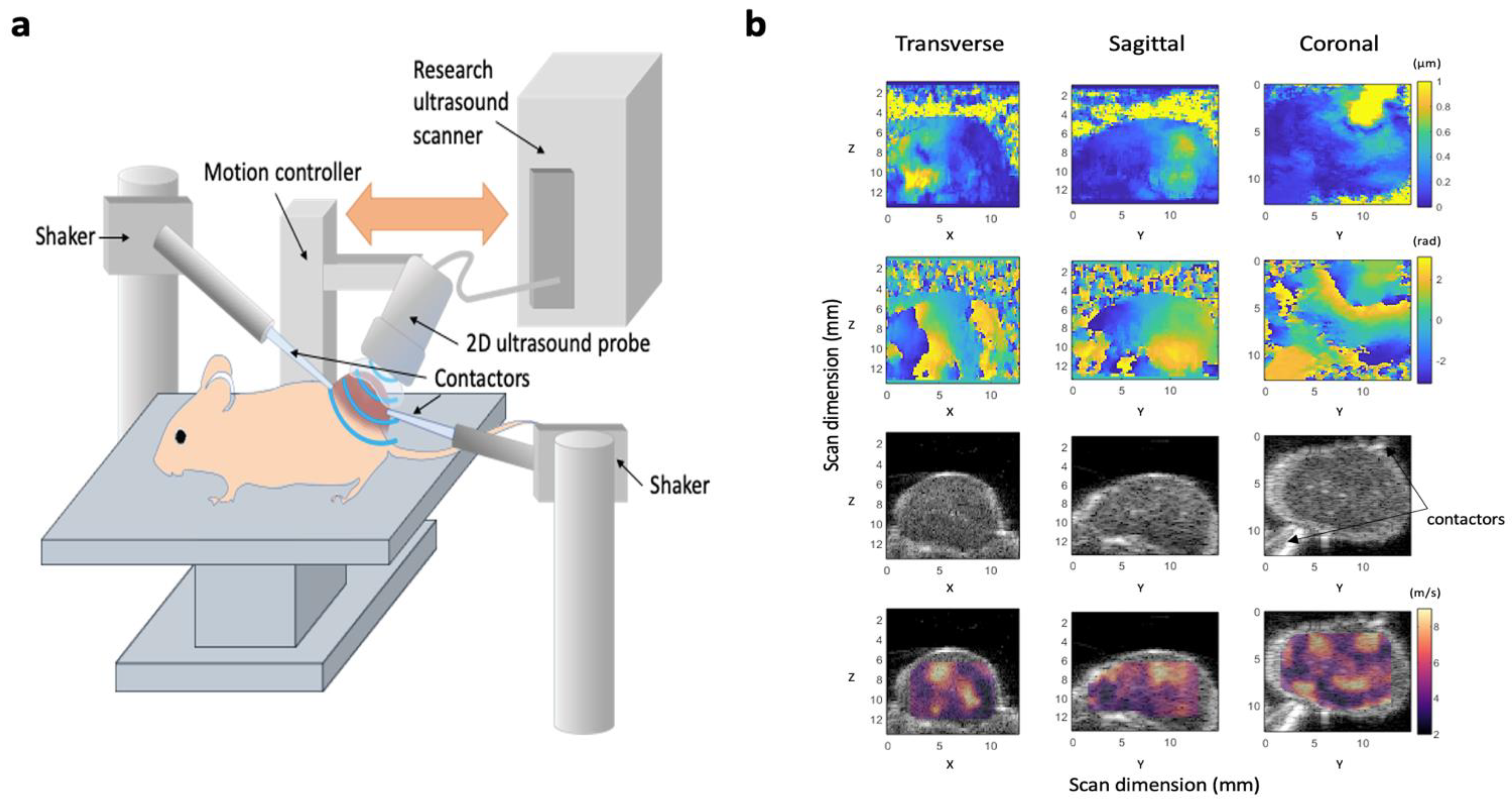 Cancers 14 04832 g001
