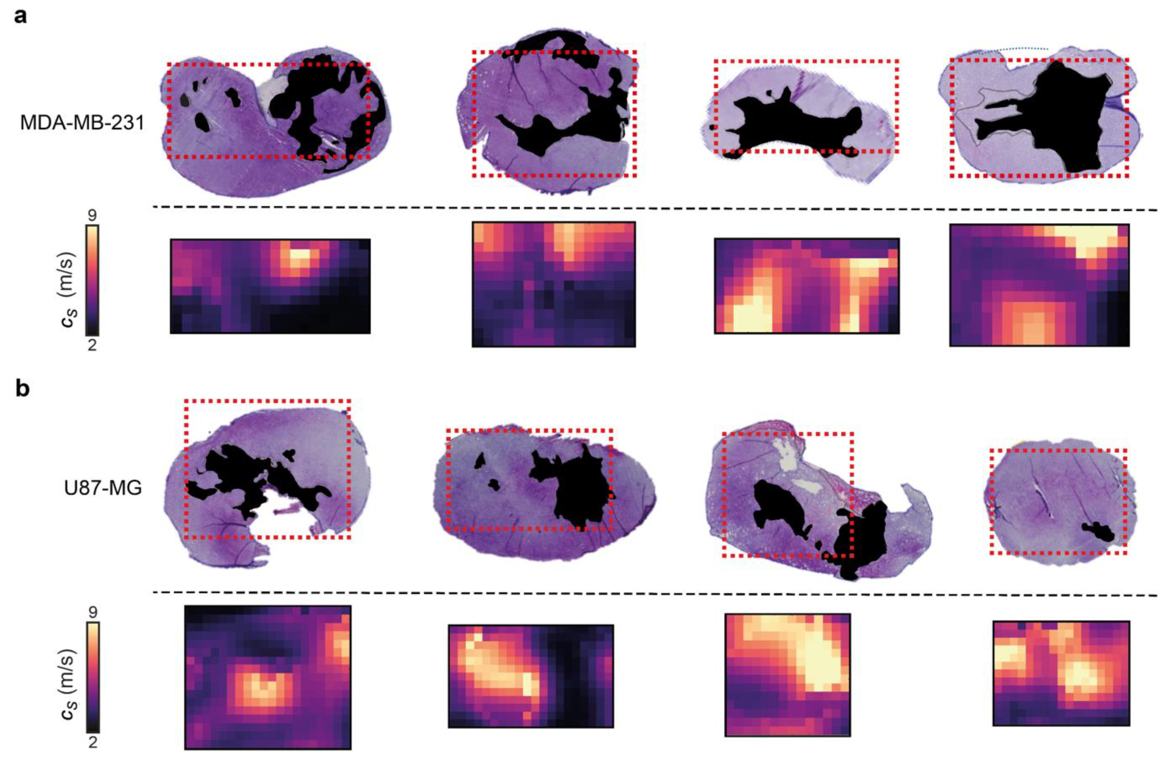 Cancers 14 04832 g004