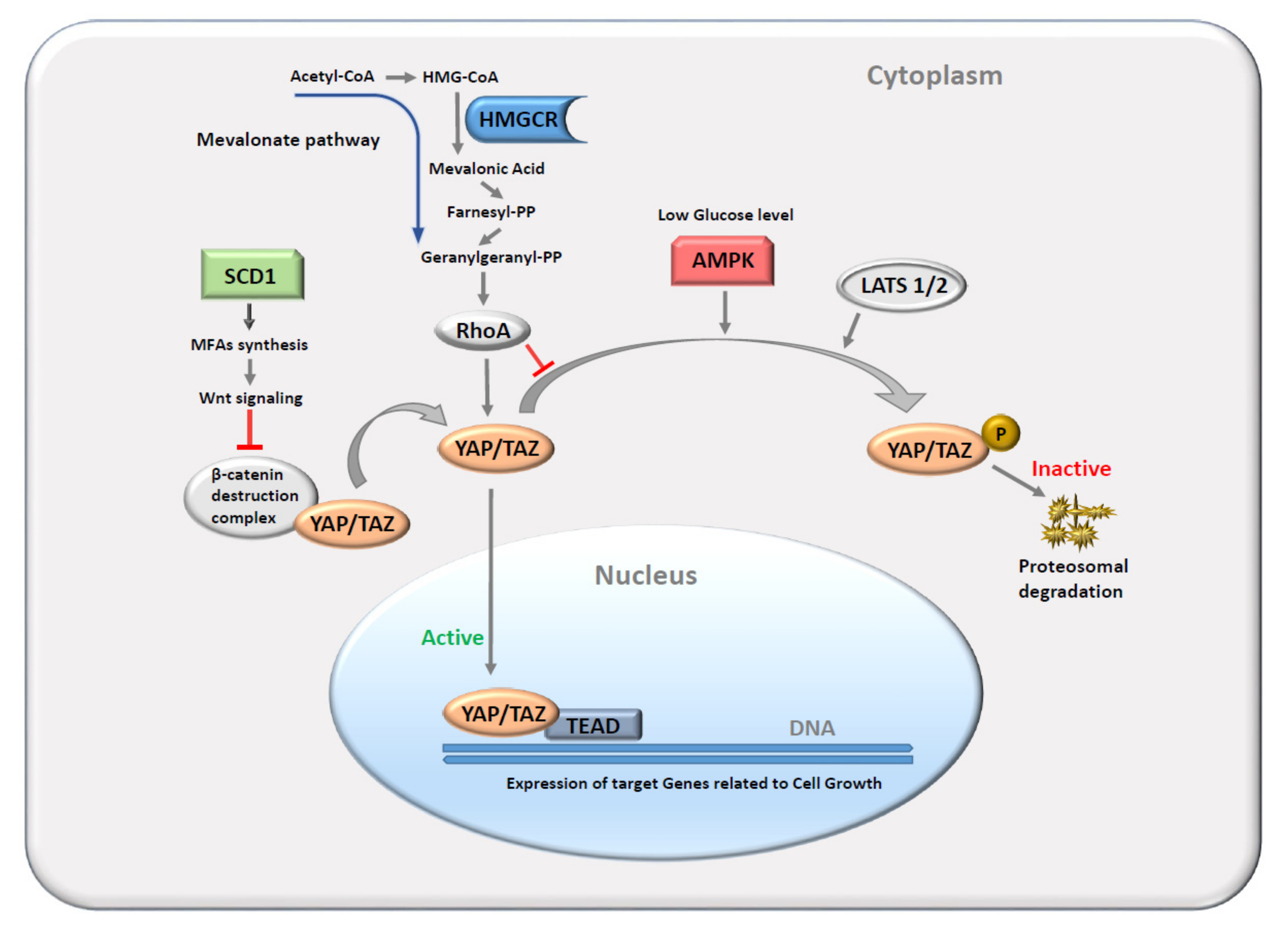 Cancers 14 04835 g001