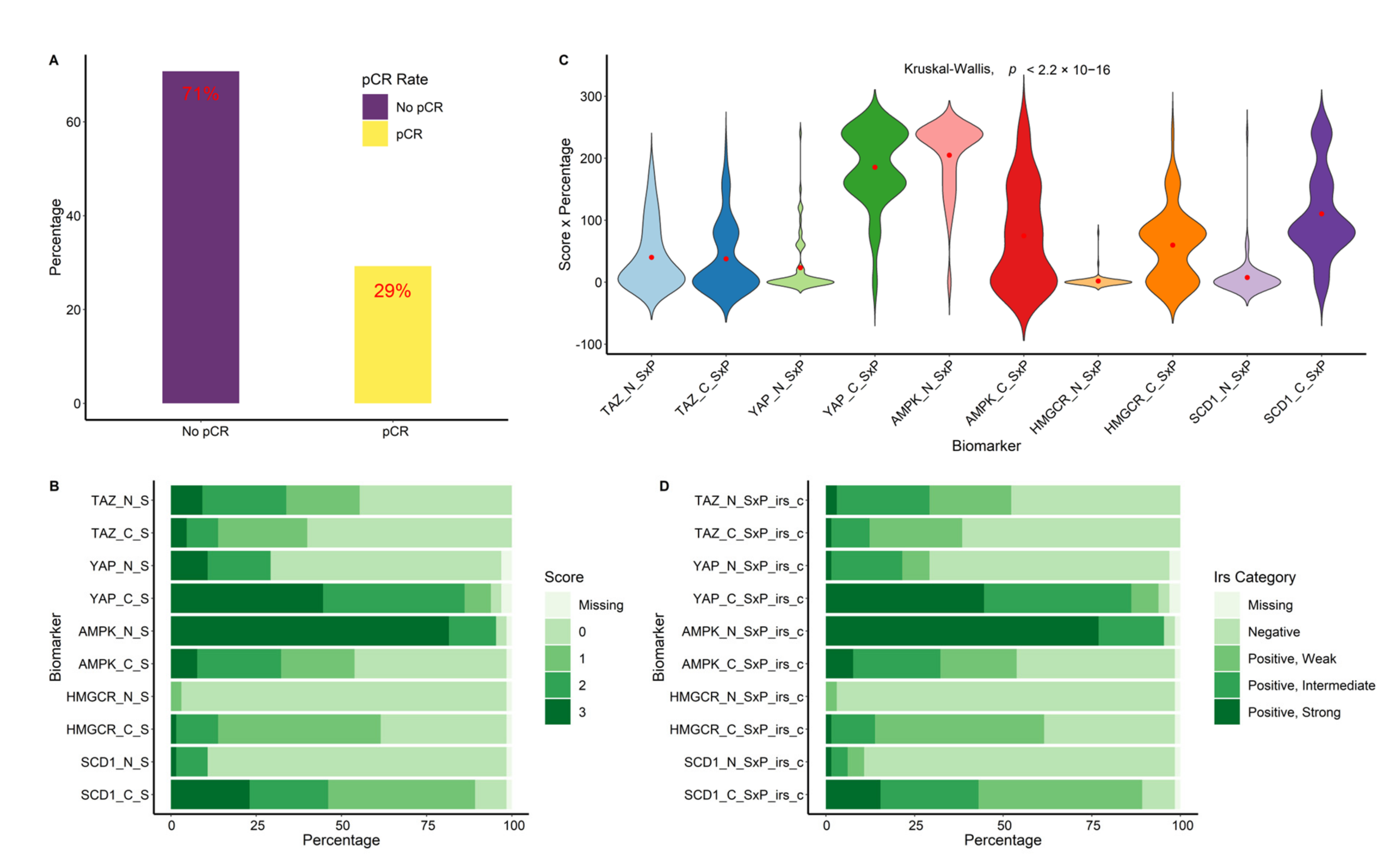Cancers 14 04835 g002
