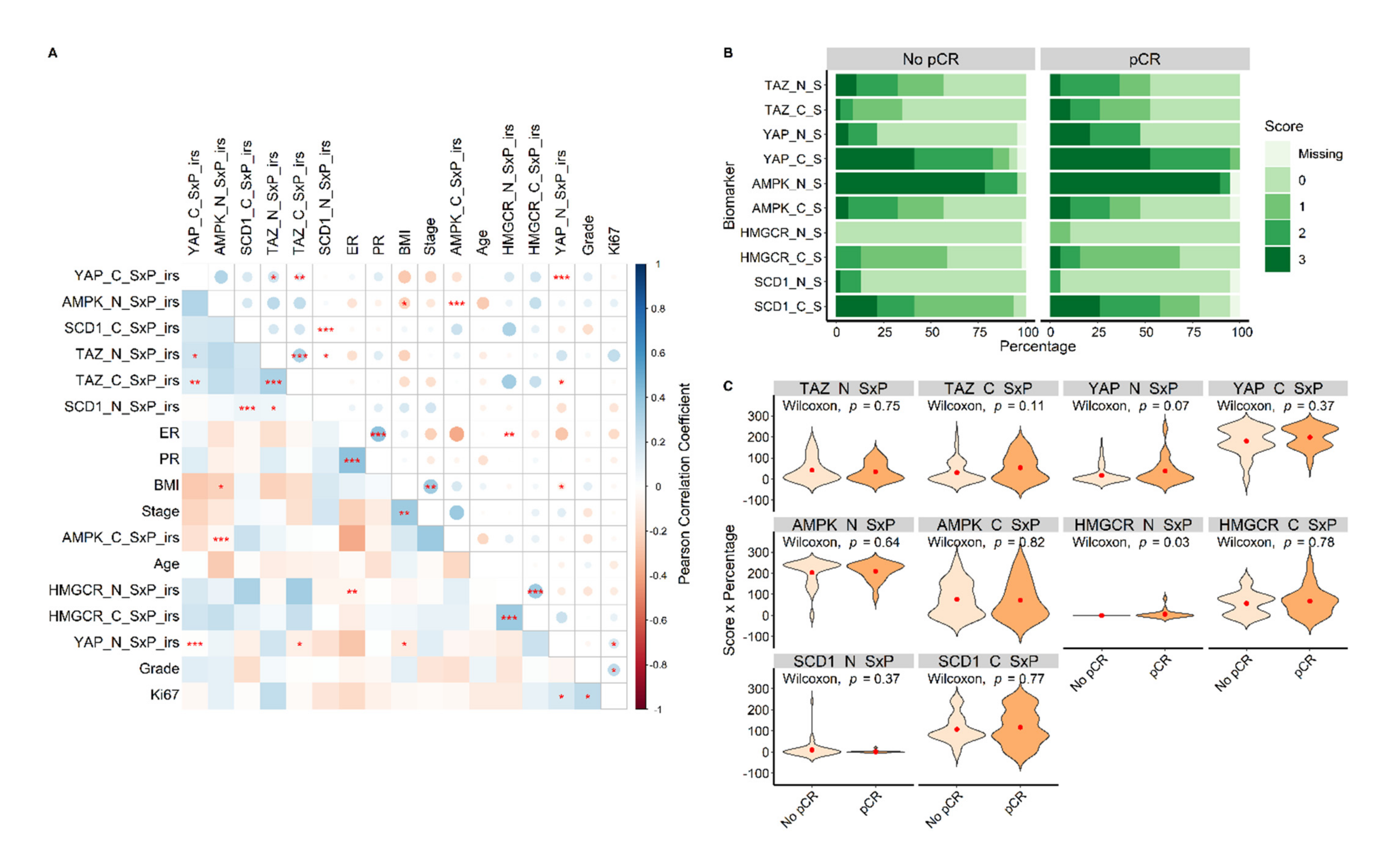 Cancers 14 04835 g003