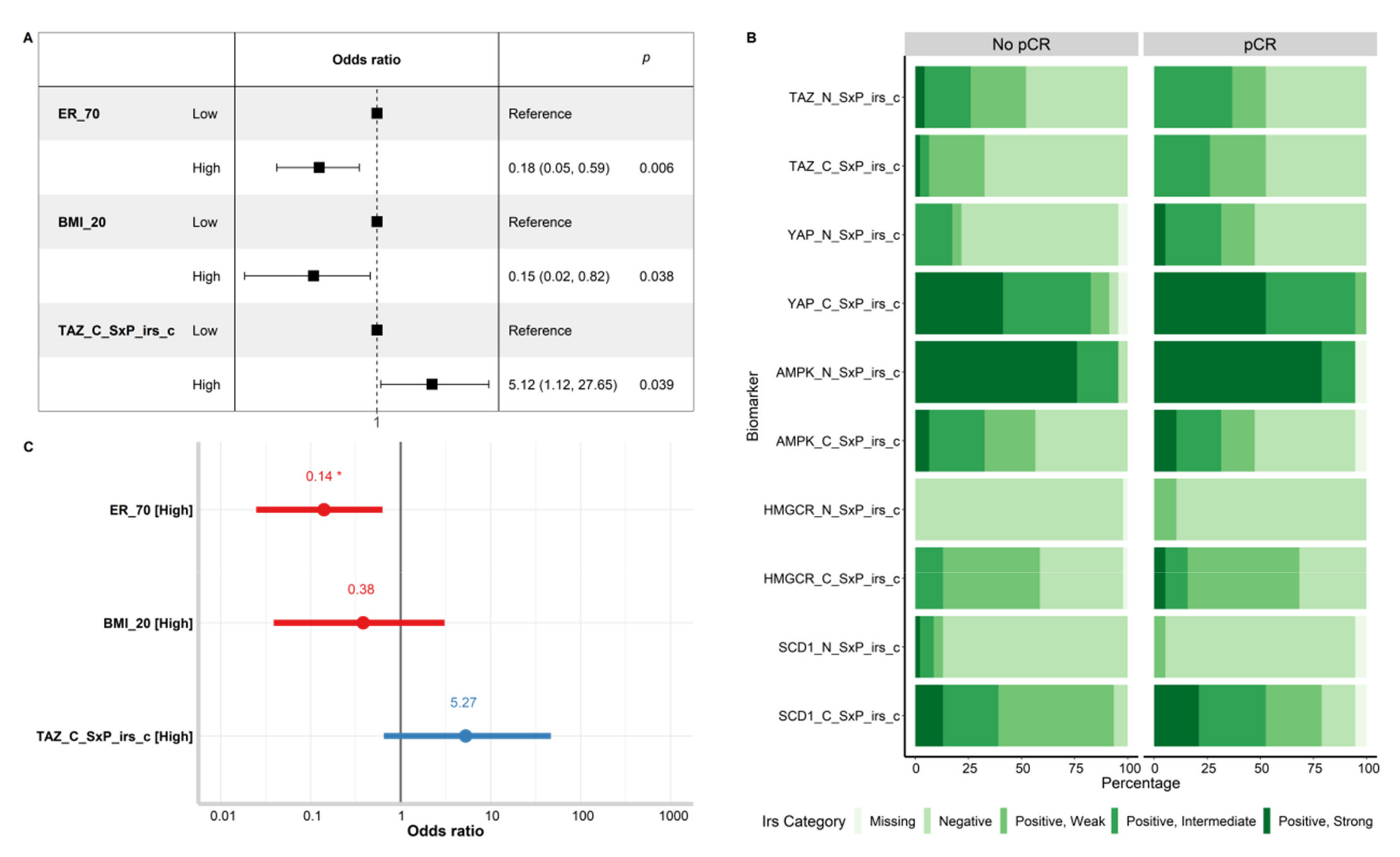 Cancers 14 04835 g004