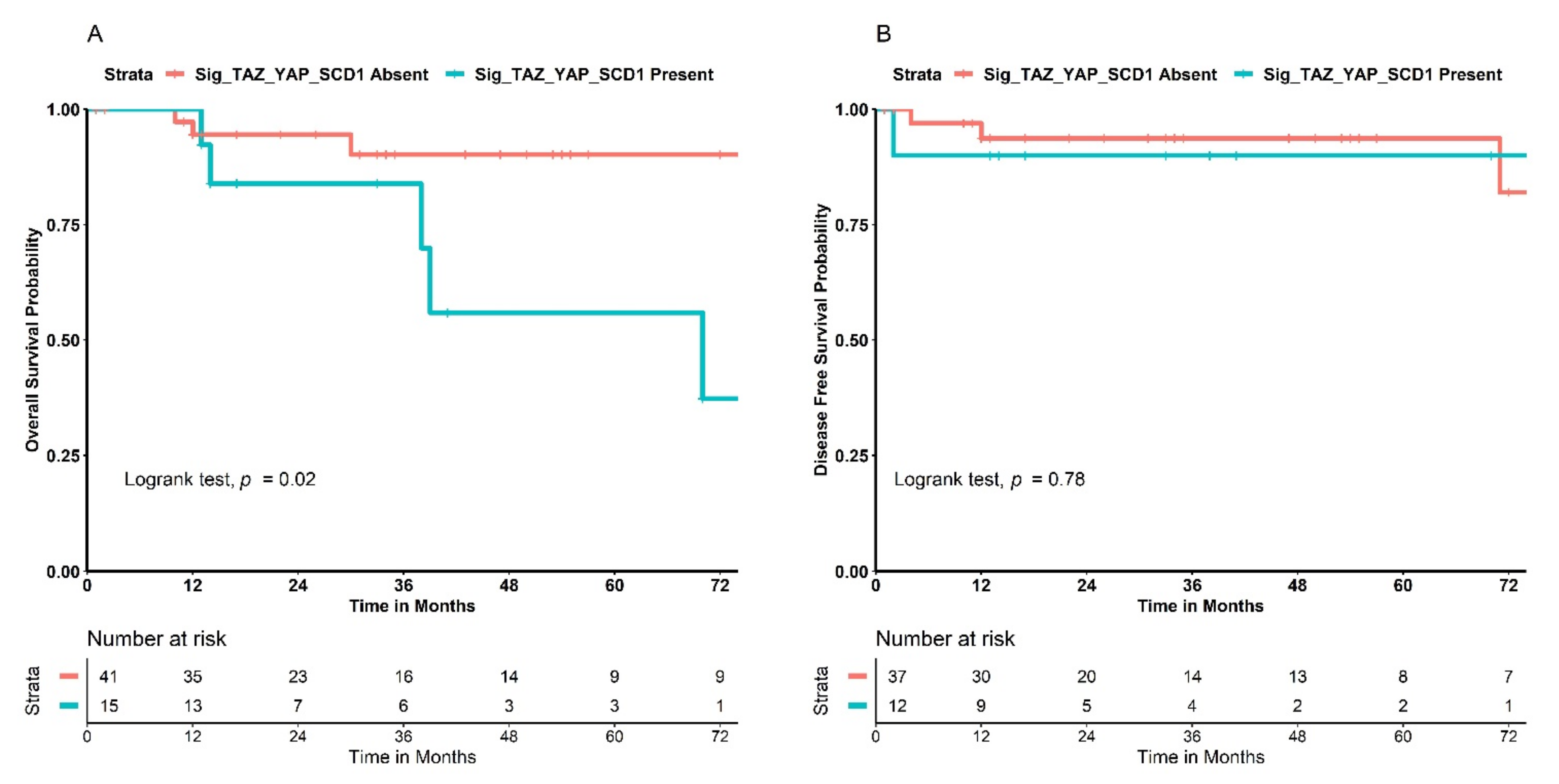 Cancers 14 04835 g008