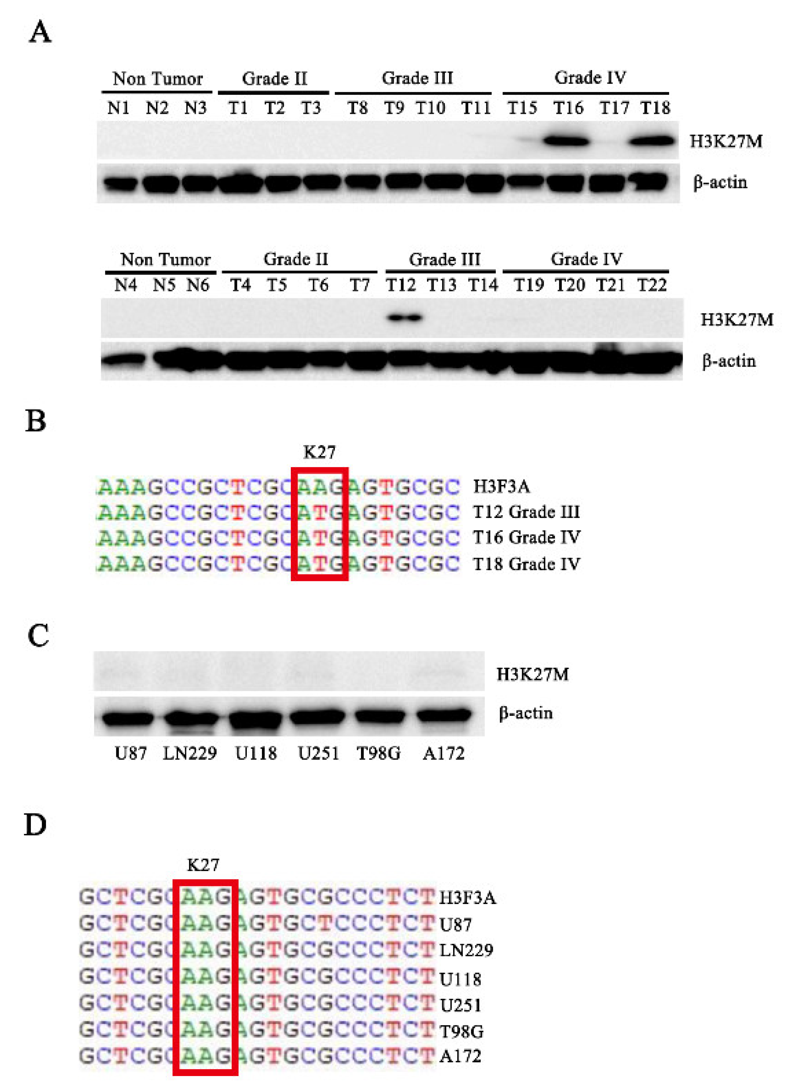 Cancers 14 04836 g001