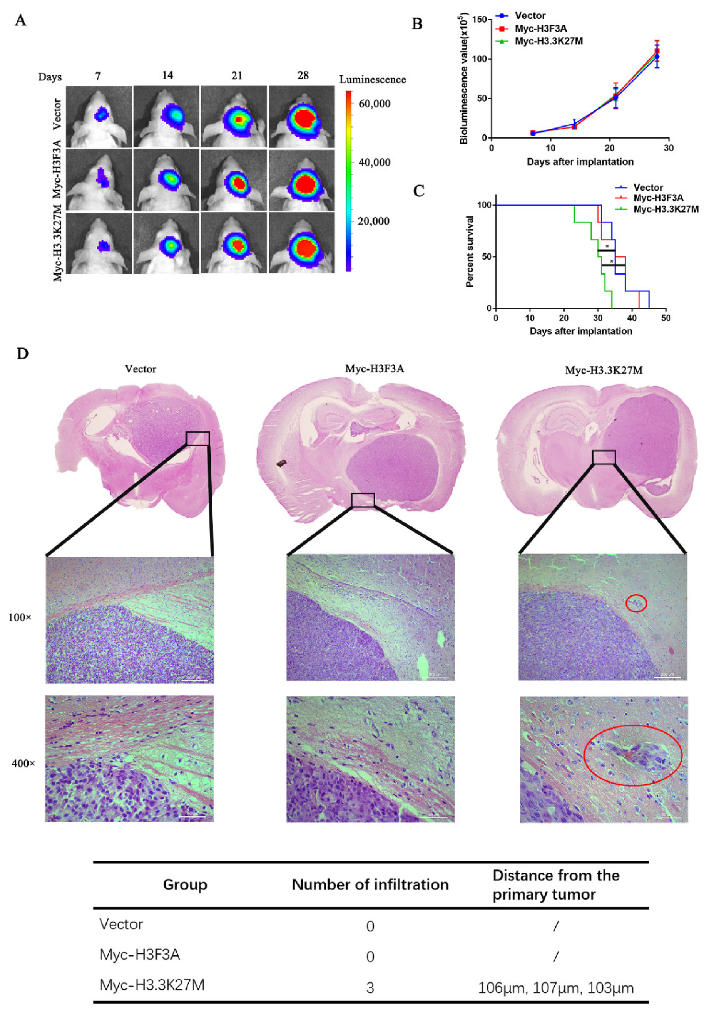 Cancers 14 04836 g003