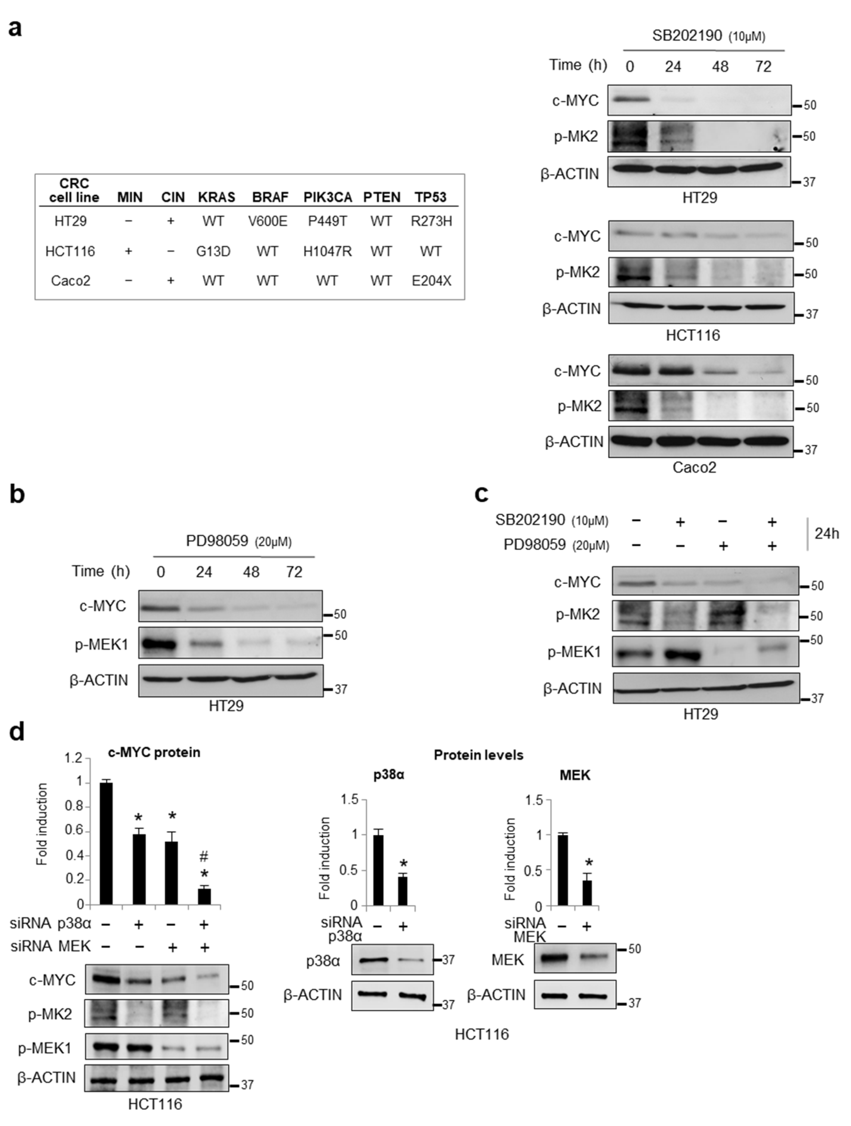 Cancers 14 04840 g001