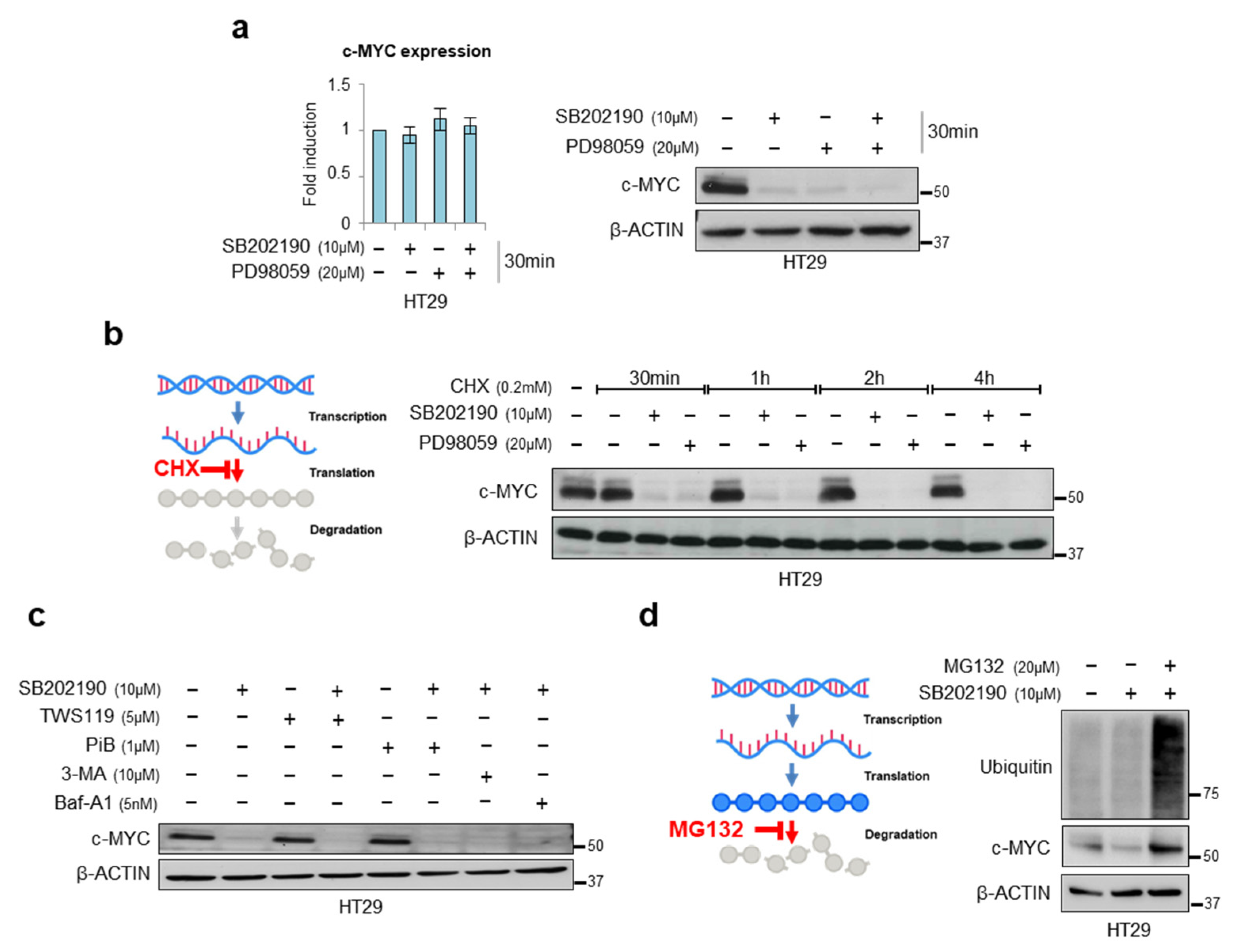 Cancers 14 04840 g002